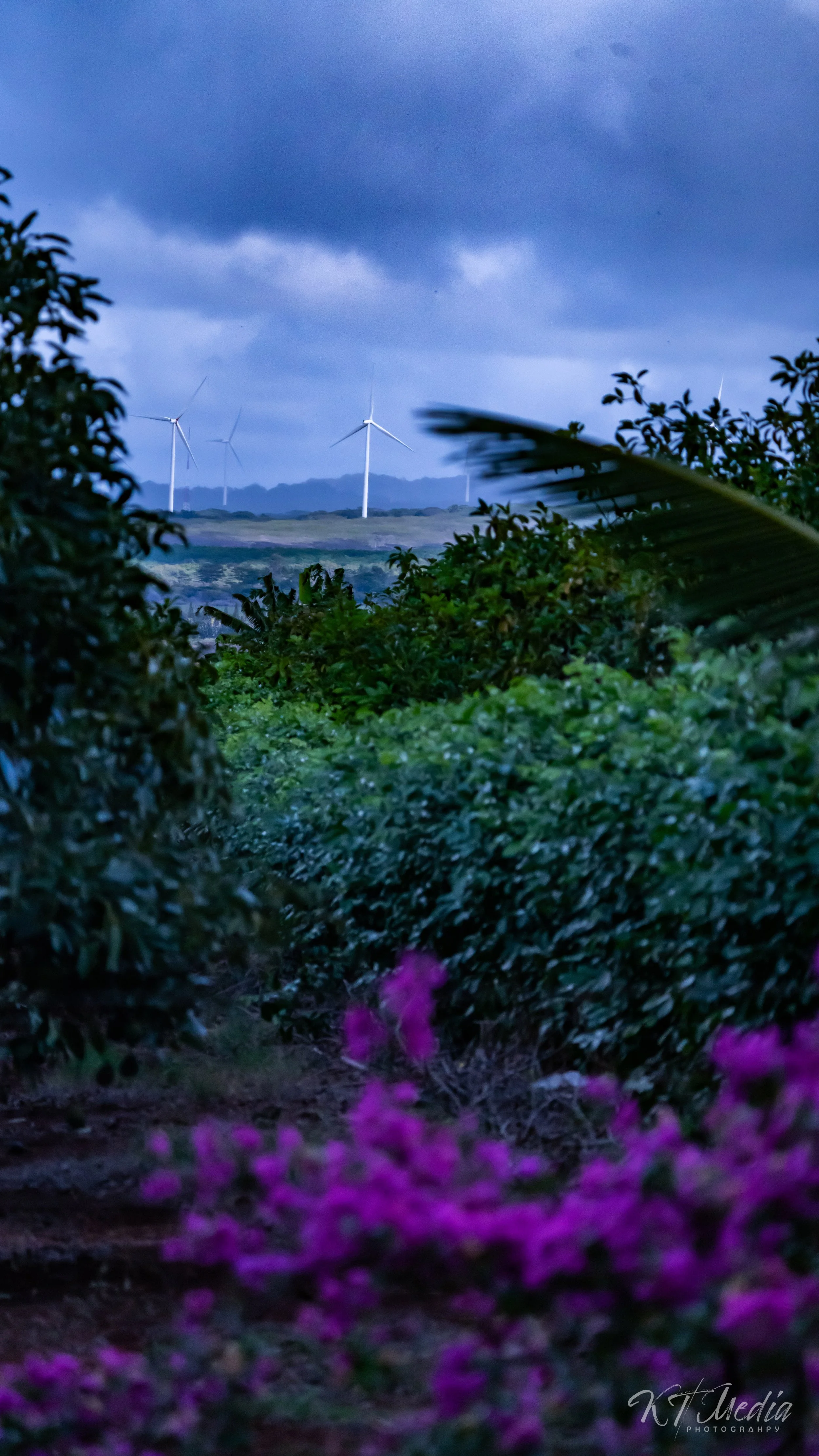 A lush garden with pink flowers in the foreground, green bushes, and trees, with wind turbines on a distant hill under a cloudy sky.