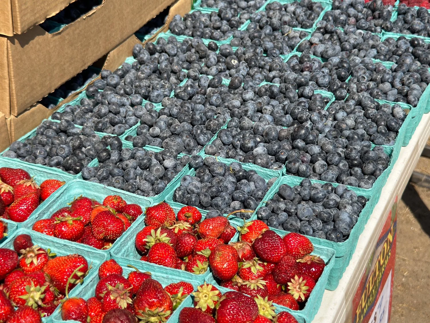 Manzanita Farmers Market photo 3