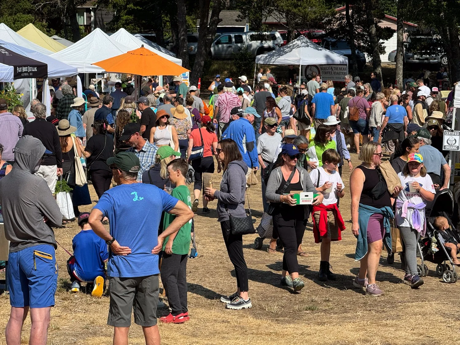 Manzanita Farmers Market photo 4