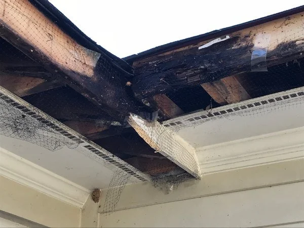 Damaged and rotting soffit and fascia in need of repair on a Florida home