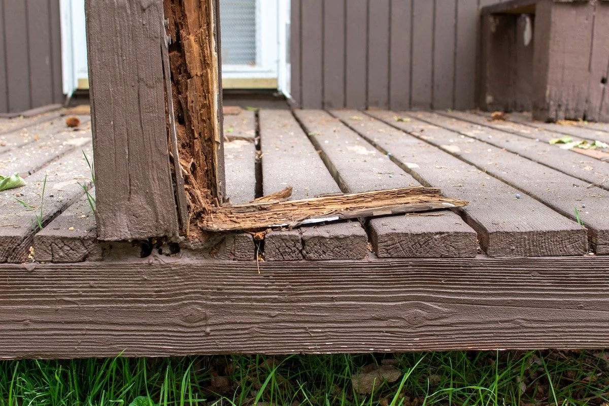 Deck damage caused by termites for Mr. Handyman serving Tampa and Clearwater to repair