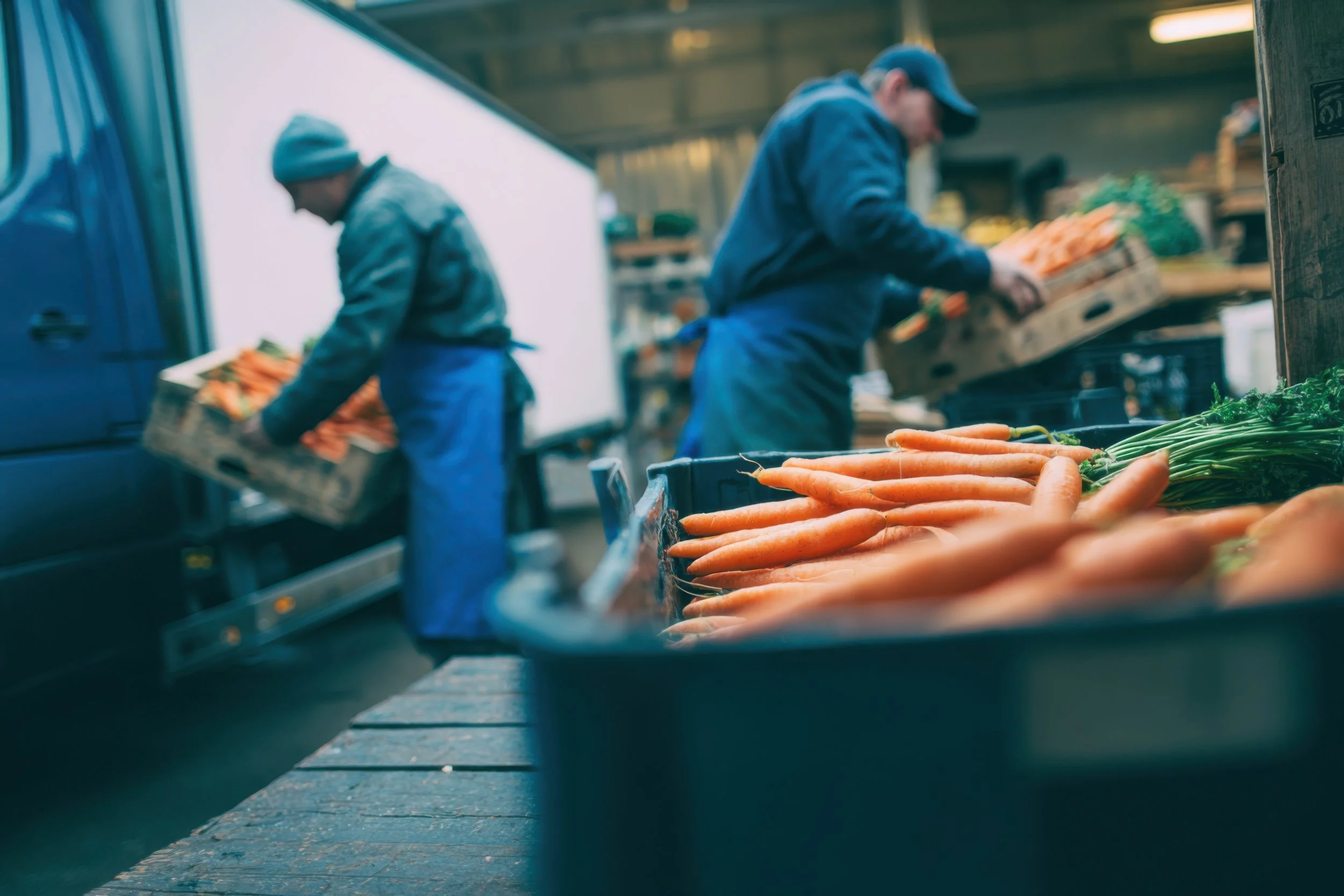 Two people sorting and packing fresh carrots at a produce stand or farmer’s market, with the focus on a pile of orange carrots in the foreground.
