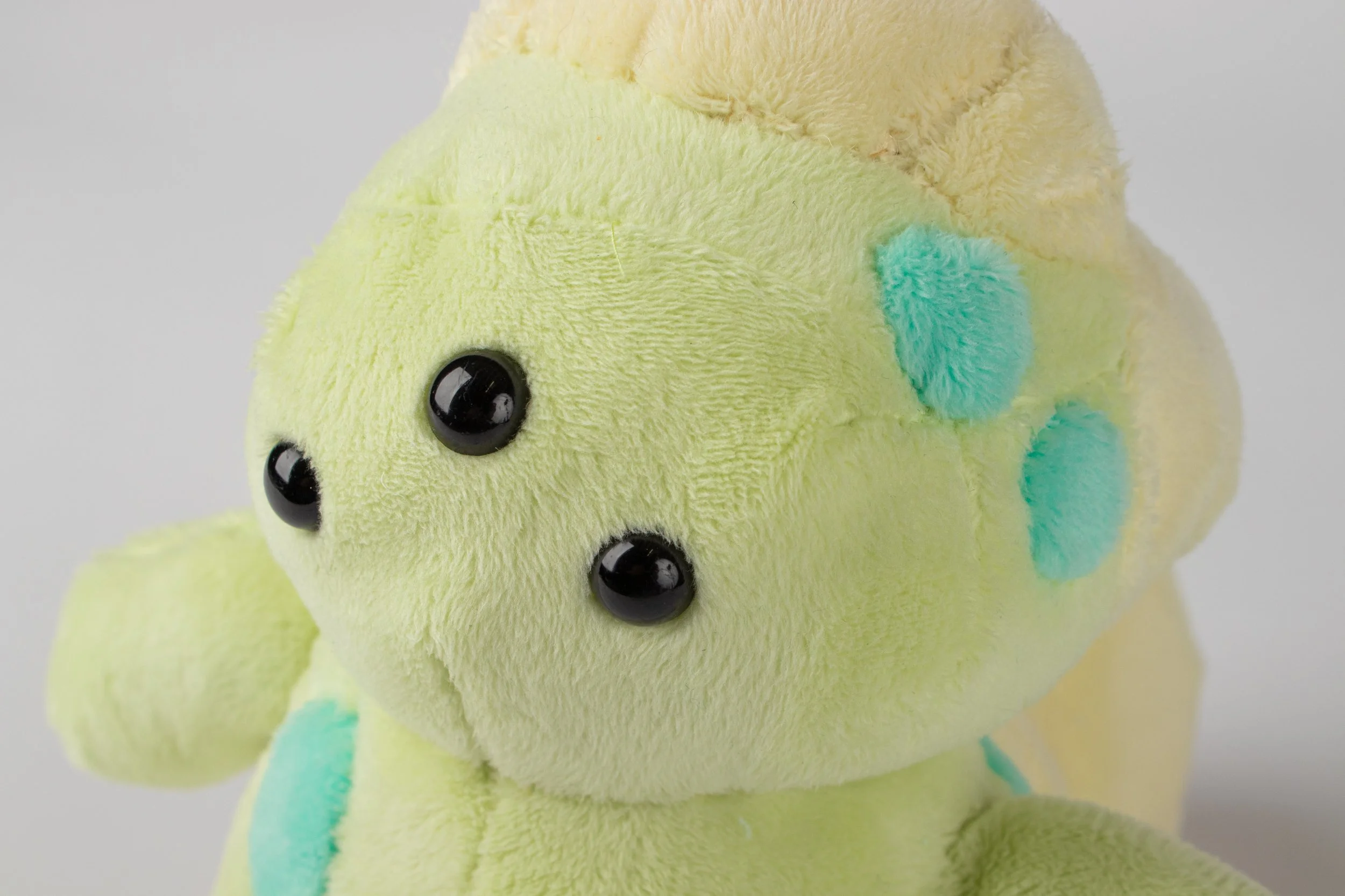 Copy of IMG_0114.jpg