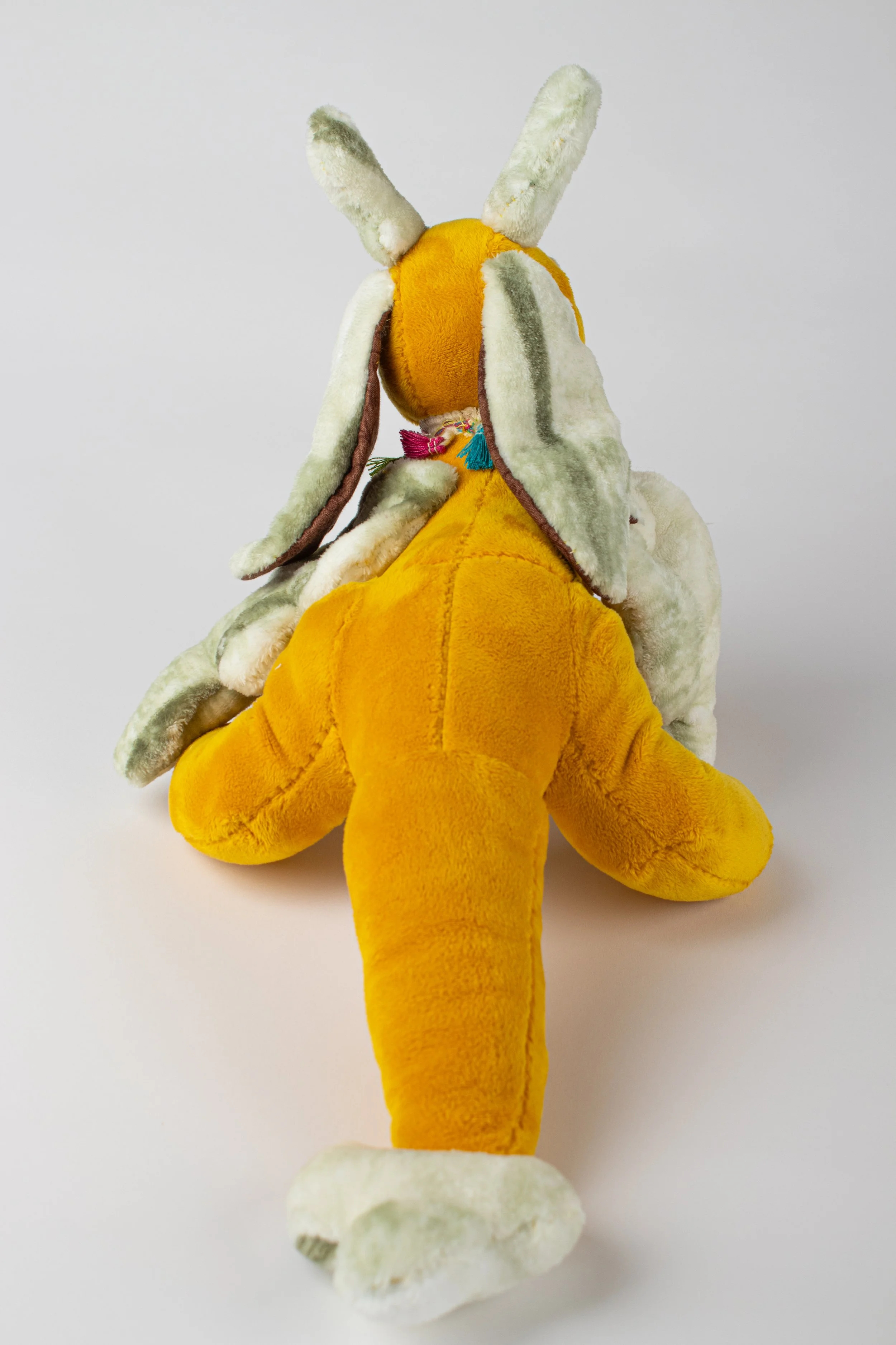 Copy of IMG_0048.jpg