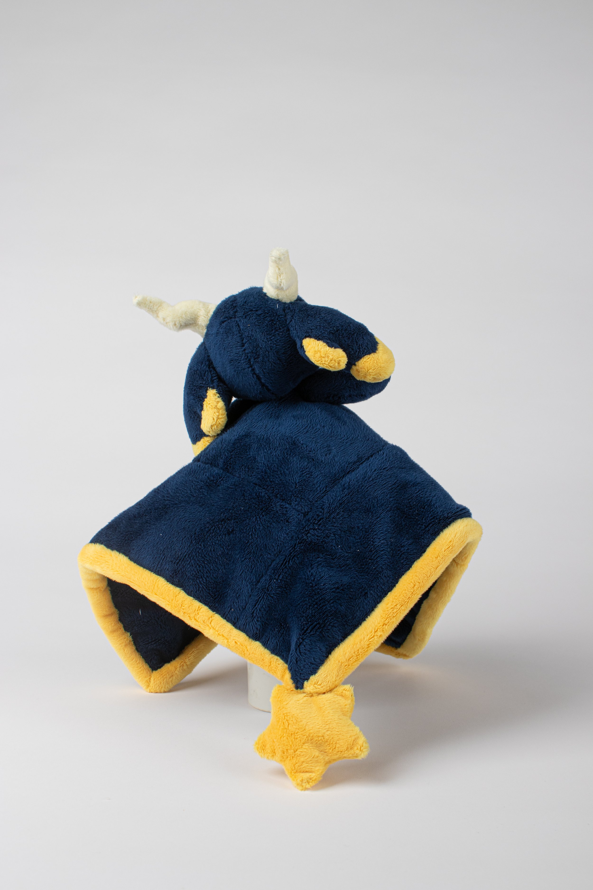 Copy of IMG_0087.jpg