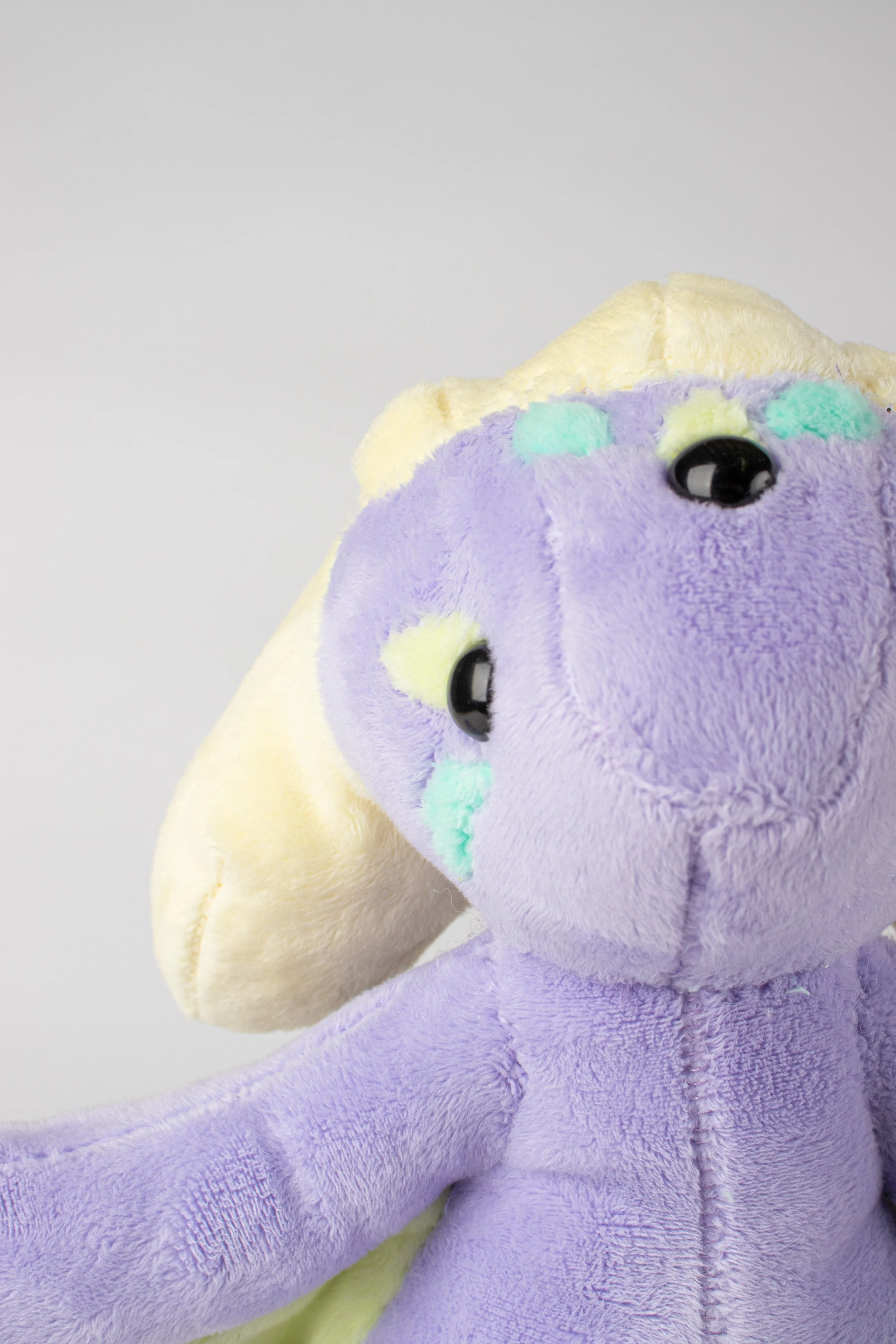 Copy of IMG_0155.jpg