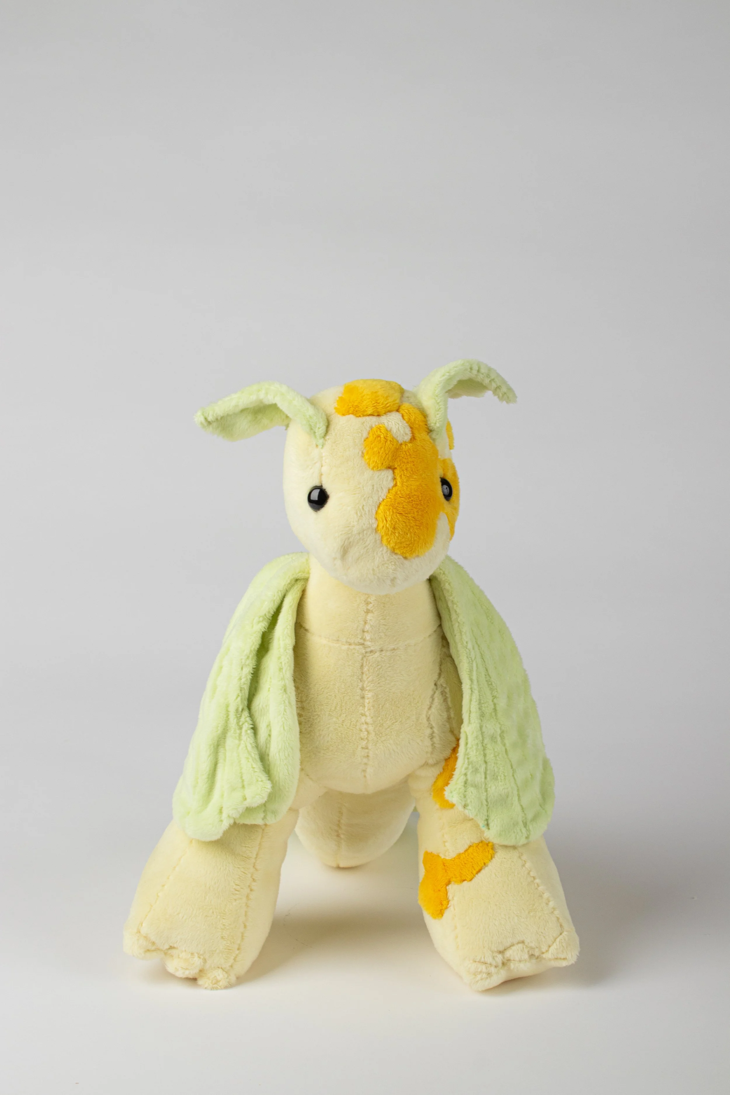 Copy of IMG_0124.jpg