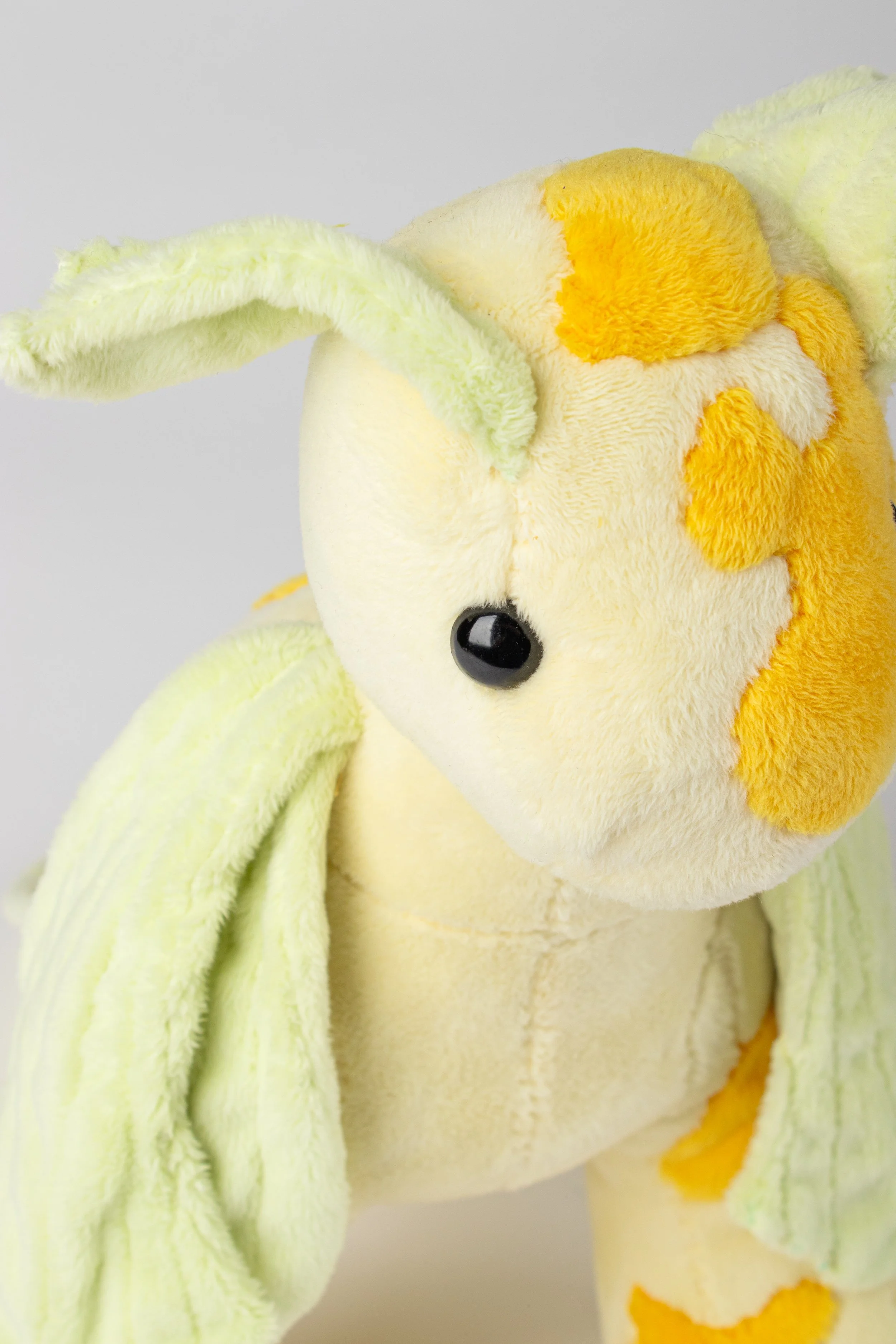 Copy of IMG_0126.jpg