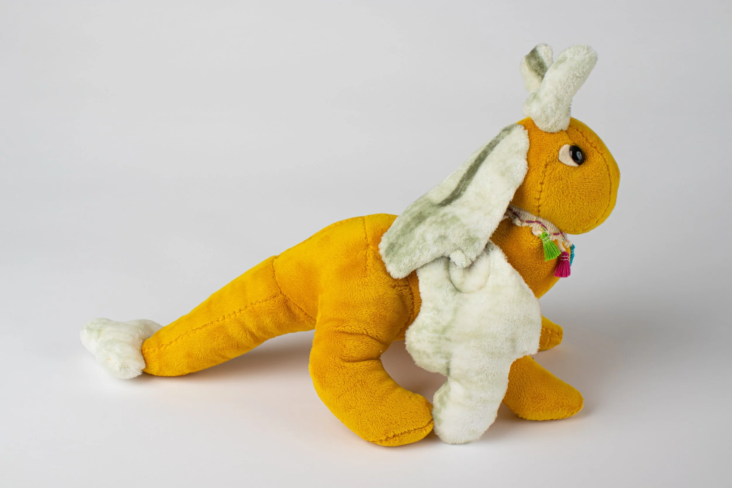 Copy of IMG_0047.jpg