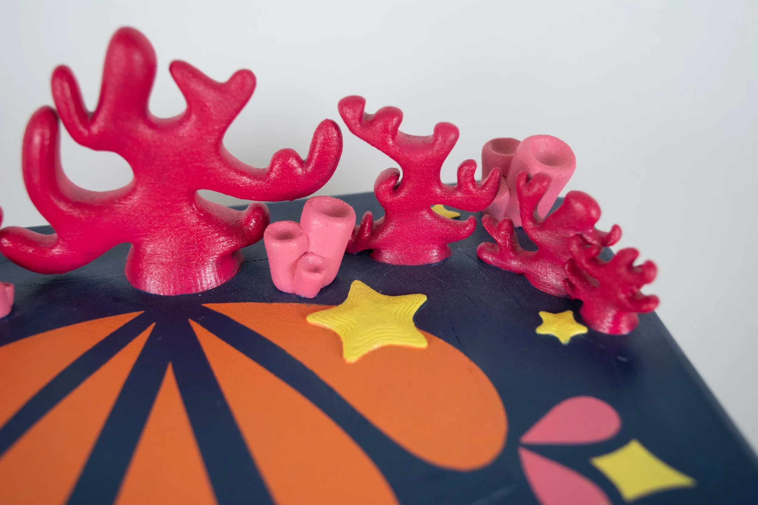 Coral_05.jpg