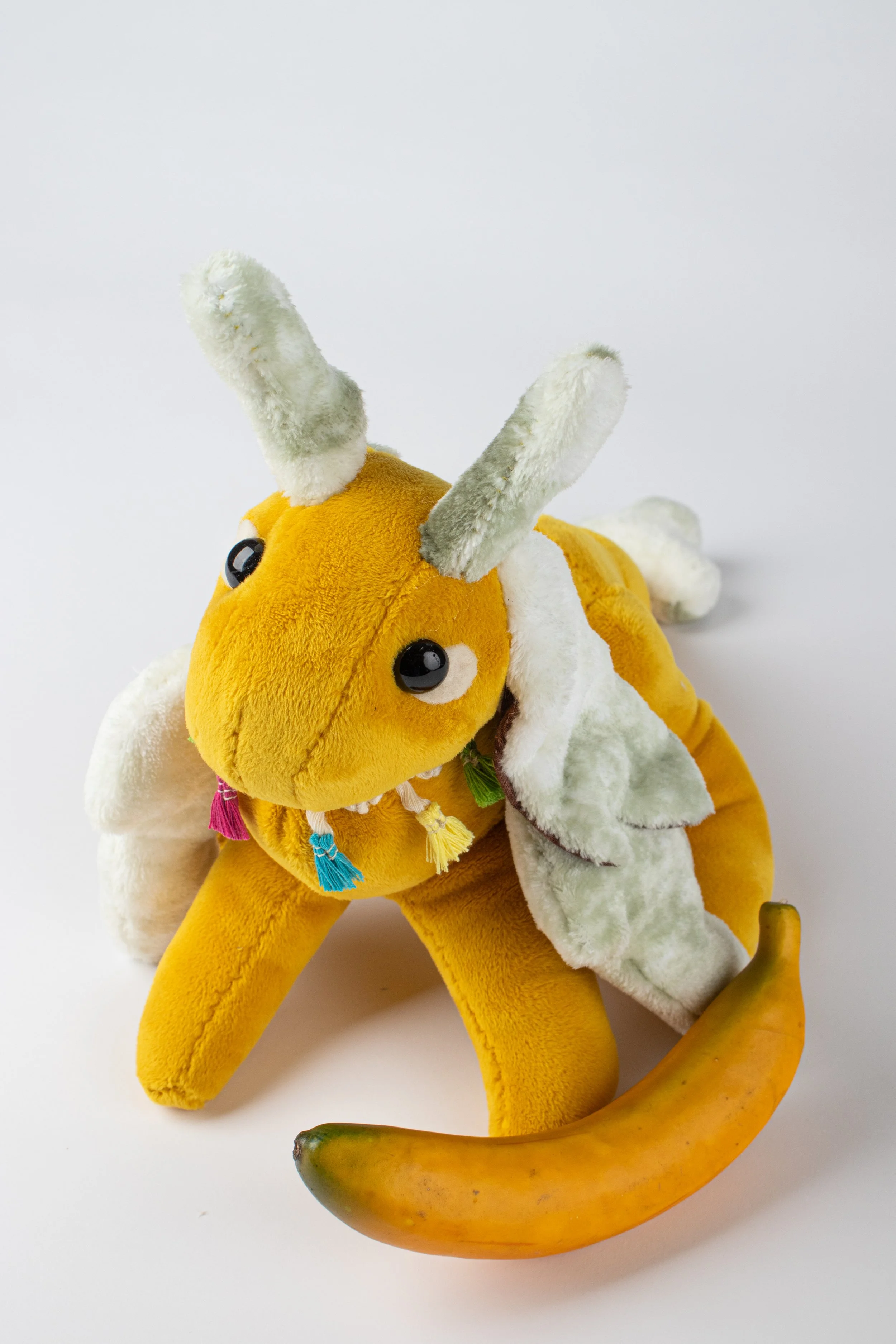 Copy of IMG_0050.jpg