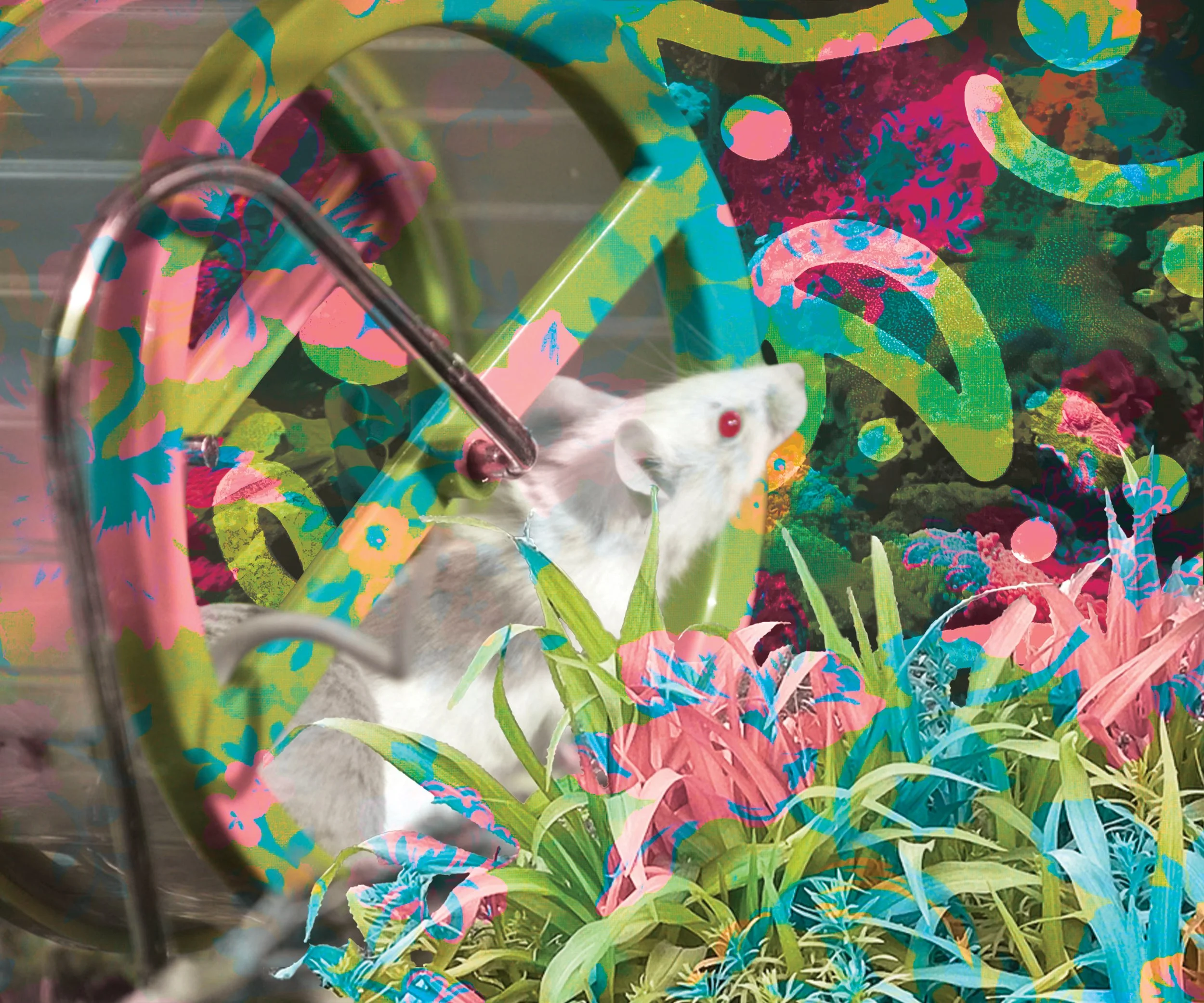 9_Wilkinson_ Using Images_Portraits_1.jpg