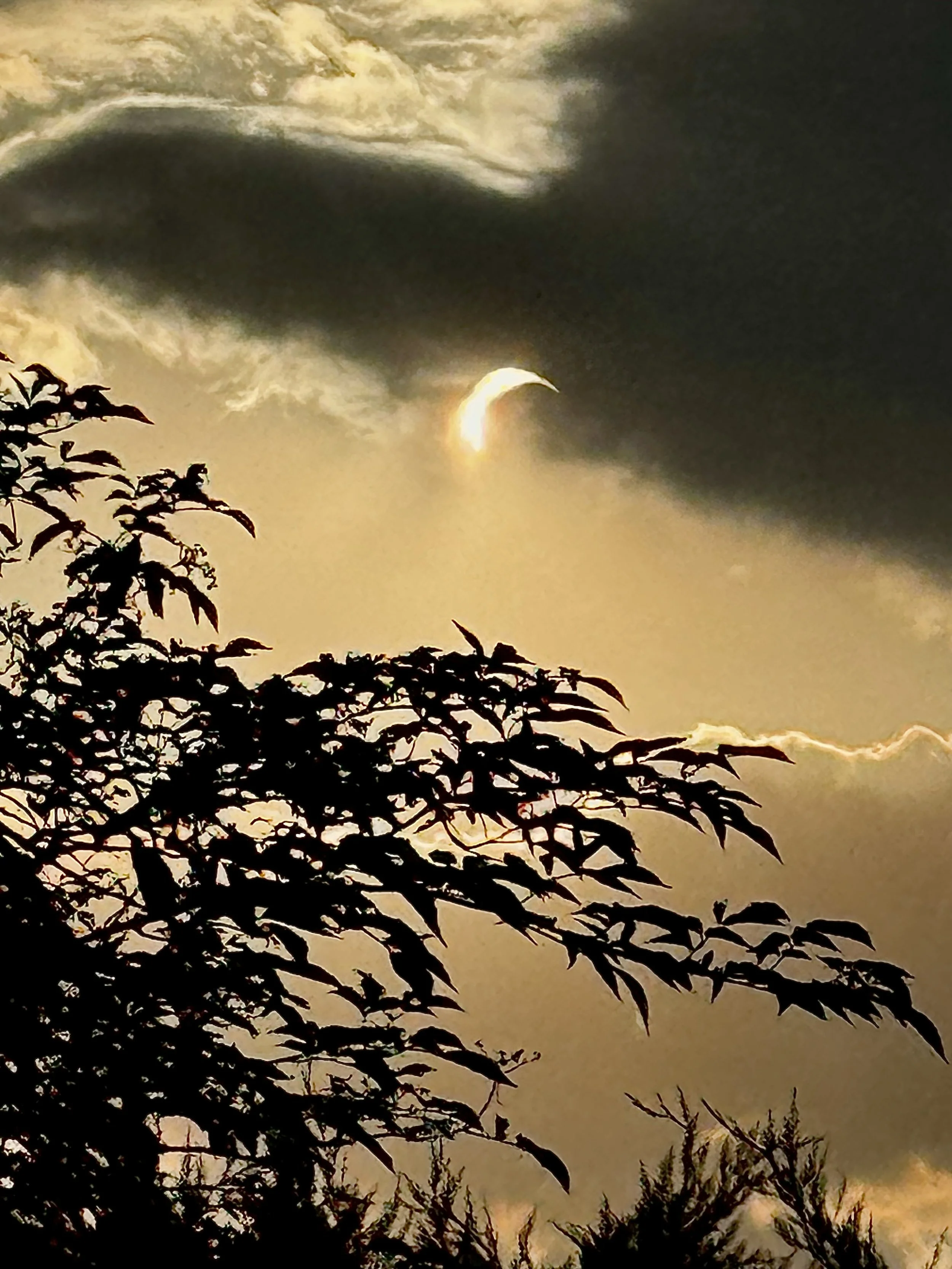 An Eclipse, A Wildfire and the  Stuff of Wonder