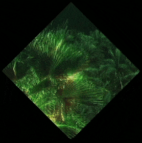 1327_BV_130822_trees_1.gif