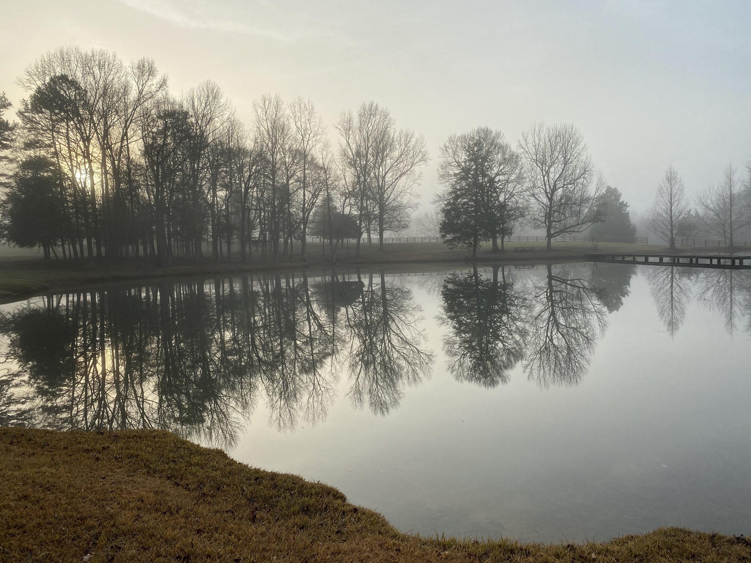 Mist rises over a calm lake in the early morning, surrounded by leafless trees which are reflected in the water, with a foggy sky and a grassy bank in the foreground.