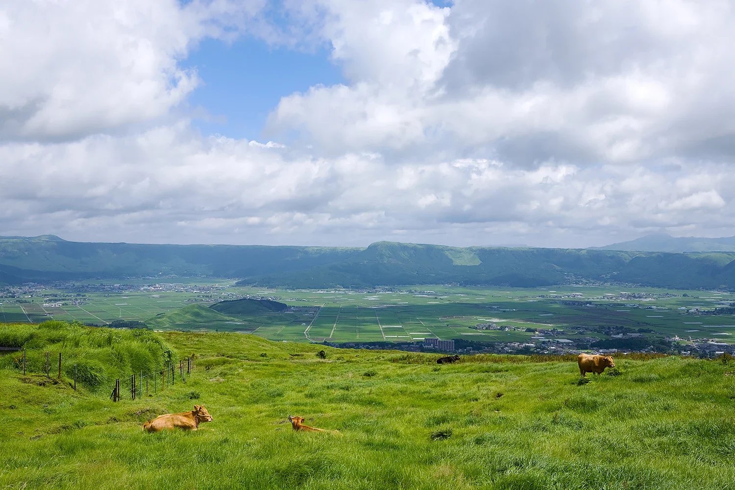 雄大な阿蘇の放牧風景。自然の豊かさと調和を映し出す、開放感あふれる広域ロケーション撮影（江藤耕治 撮影）