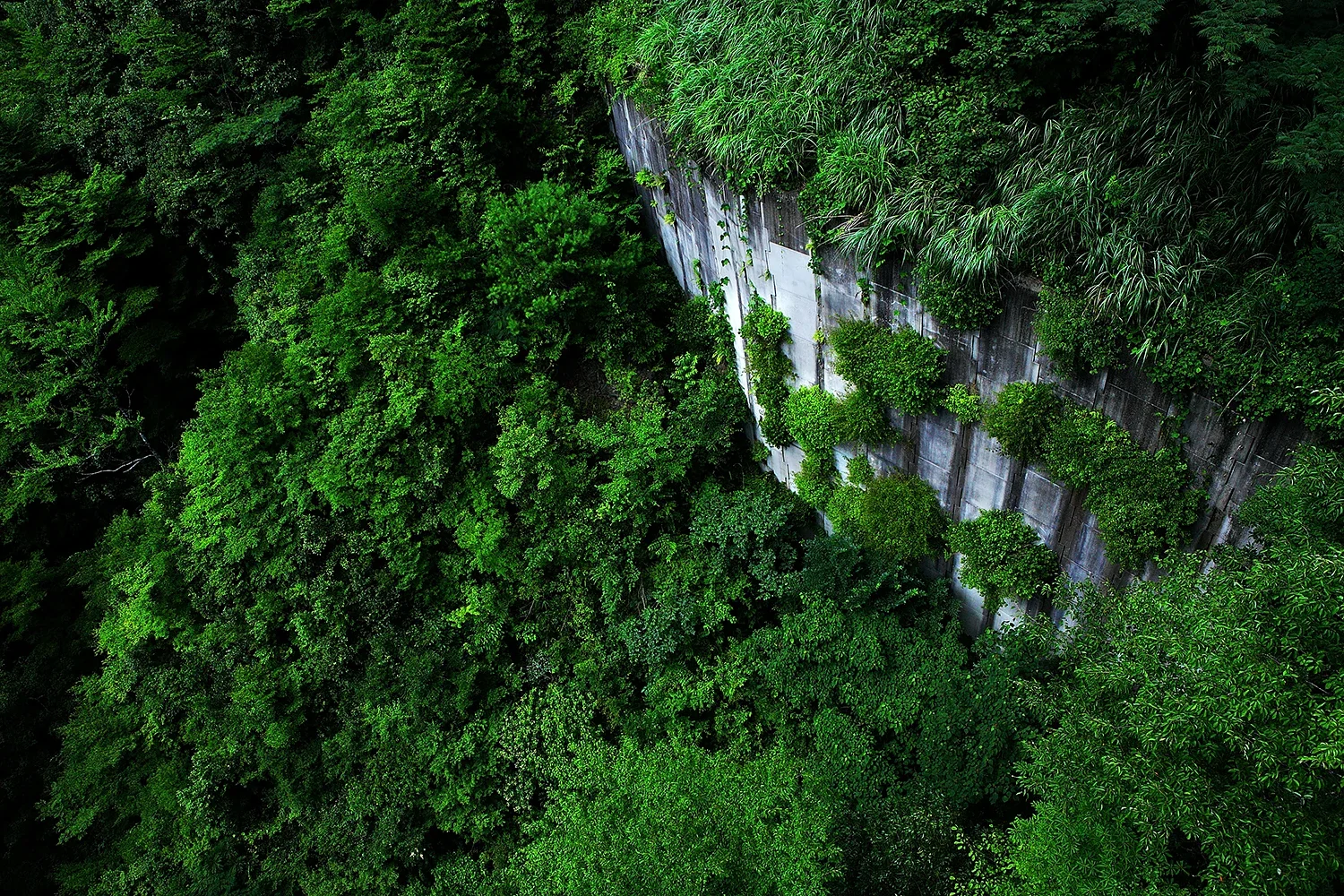 自然と現代建築が共鳴する静謐な空間。緑の息吹と無機質なコンクリートが織りなす、モダンな景観ロケーション撮影（江藤耕治 撮影）