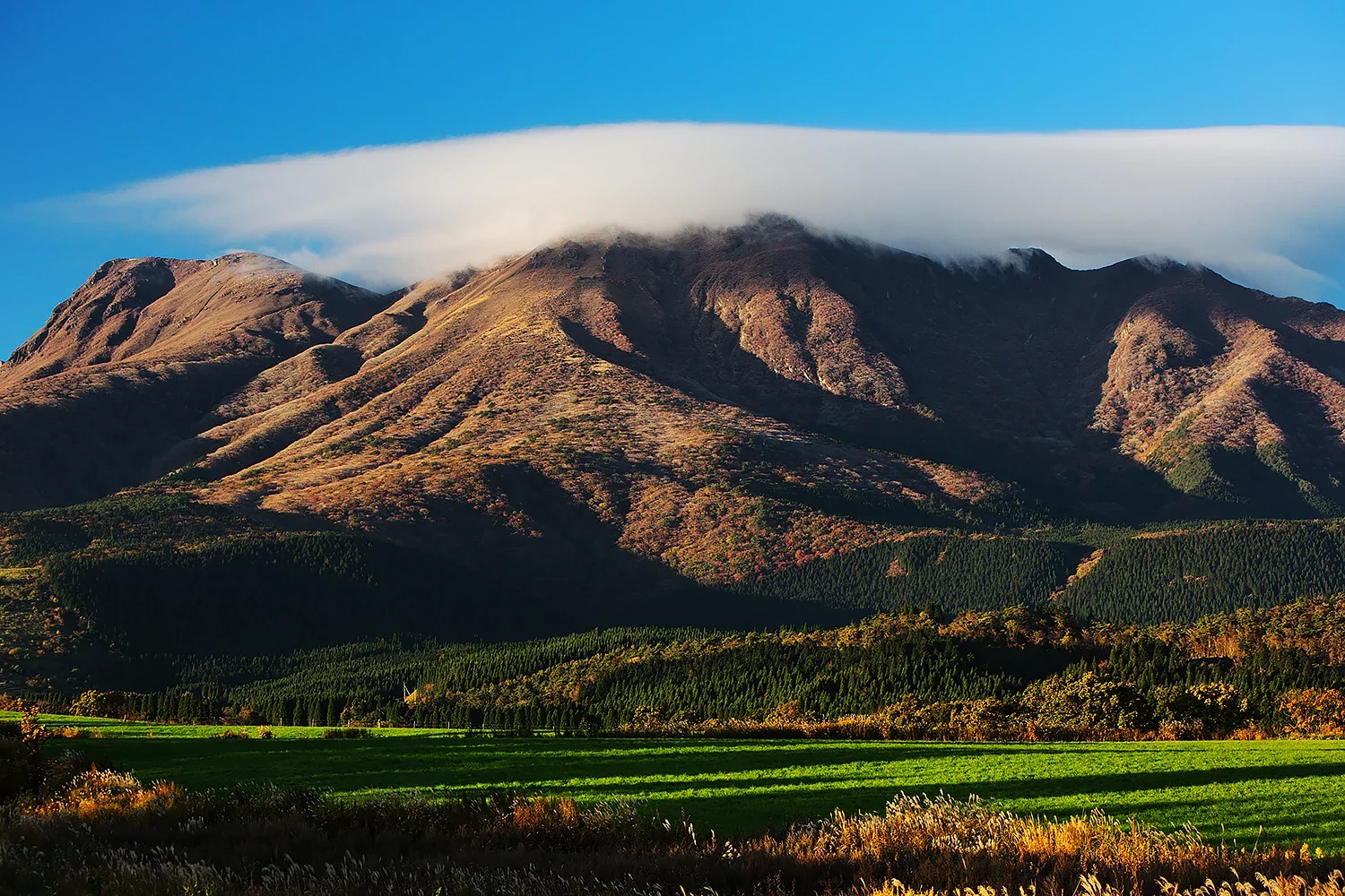 広大な緑の平野と山々が織りなす雄大なパノラマ。企業のビジョンを象徴する、開放感あふれるネイチャーフォト（江藤耕治 撮影）