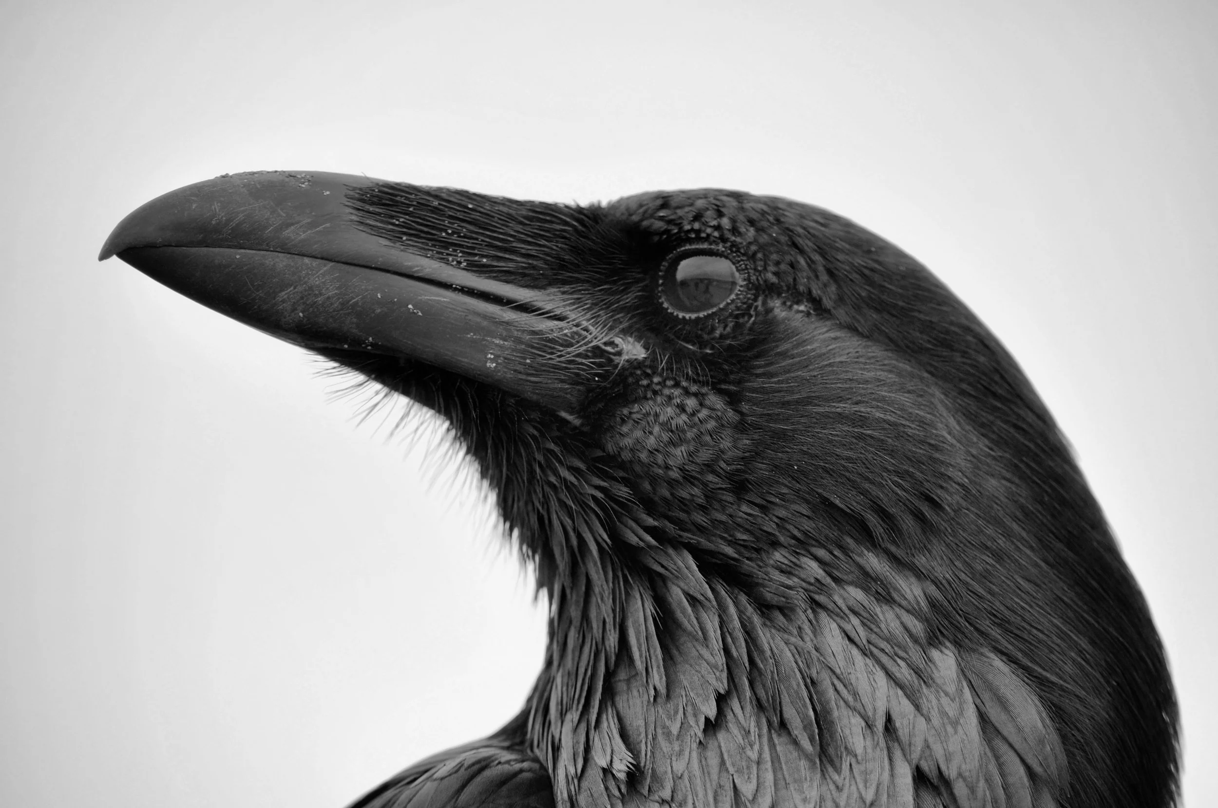 San Francisco, California