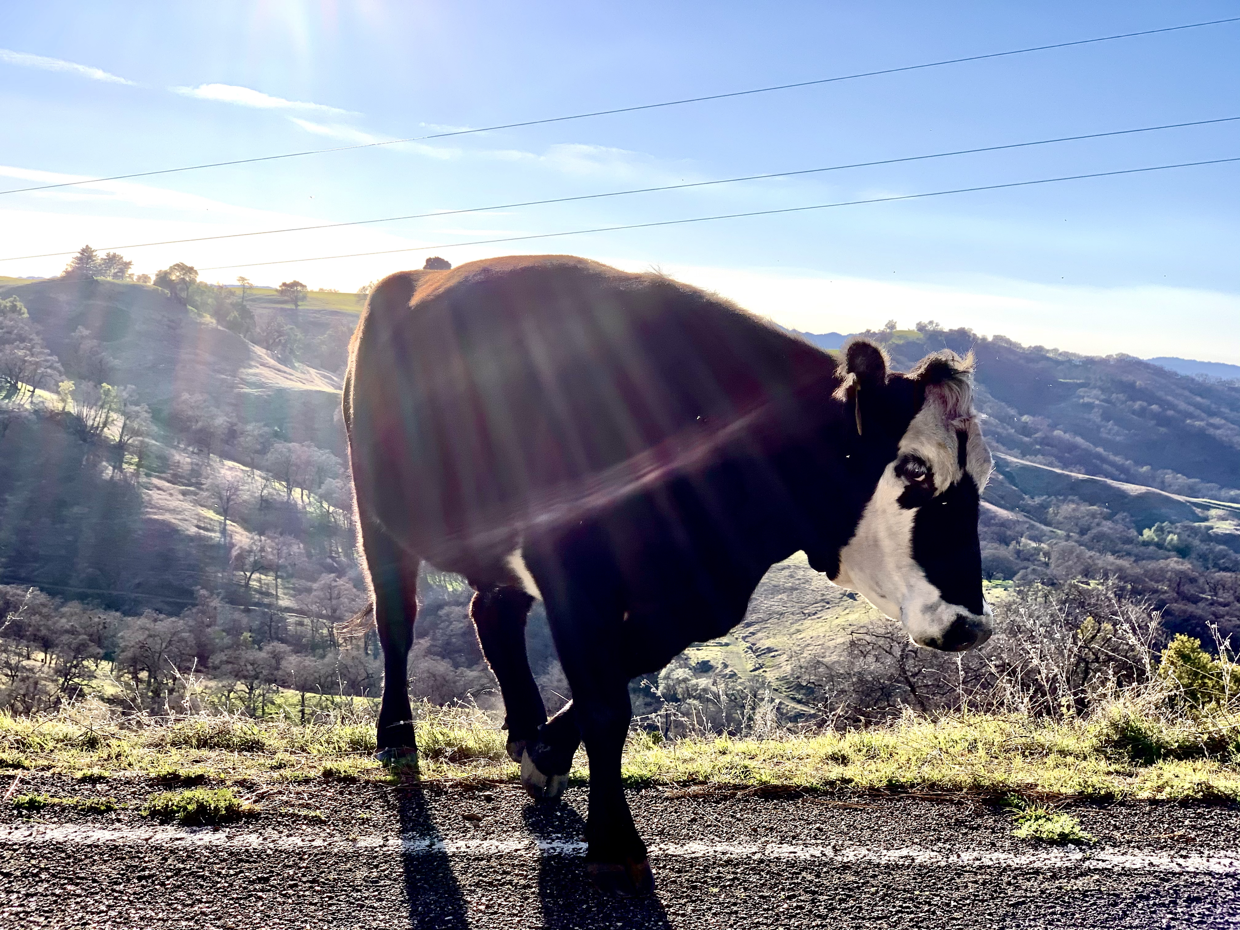Mercuryville, Sonoma County, California