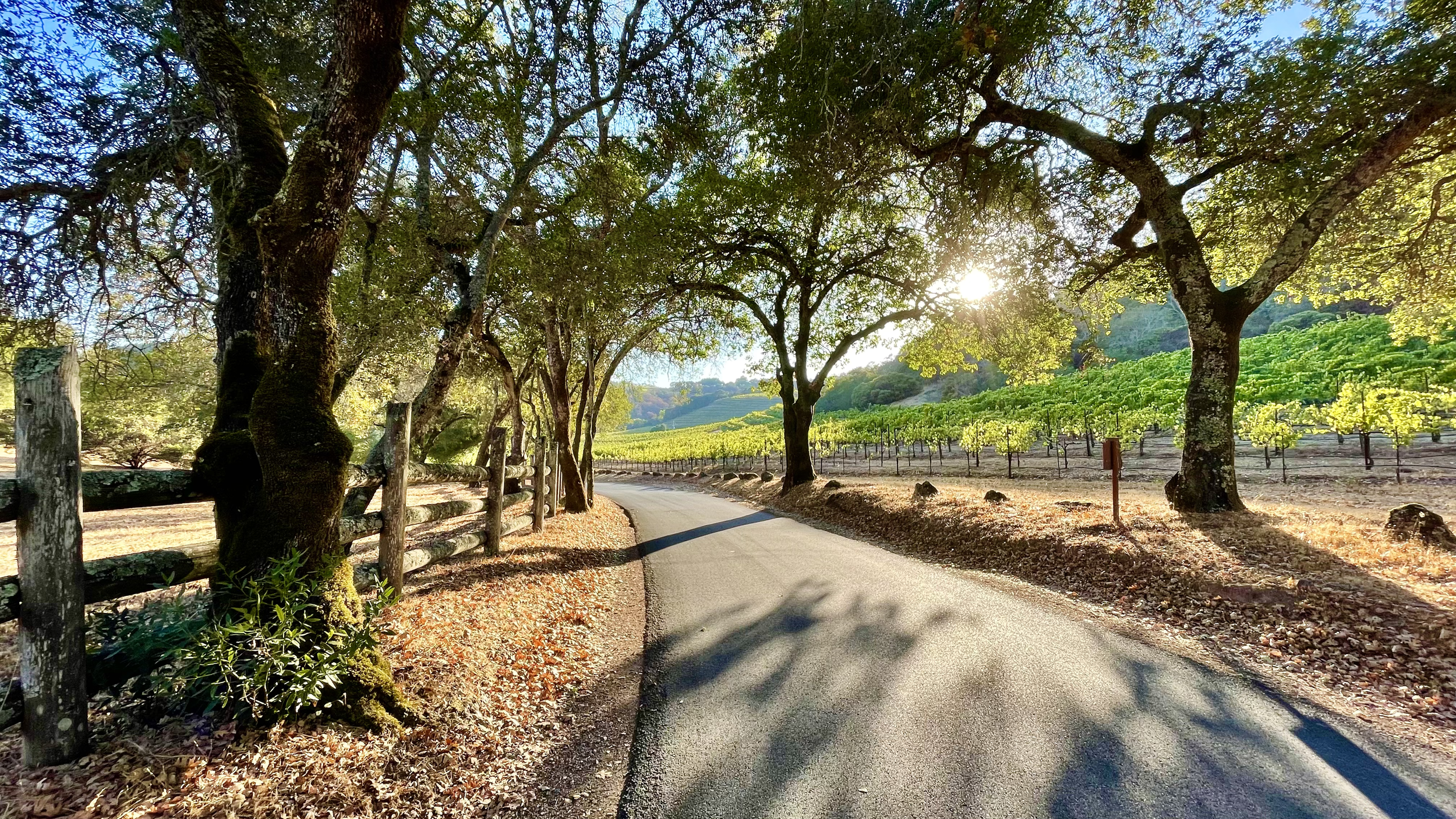 Sonoma County, California