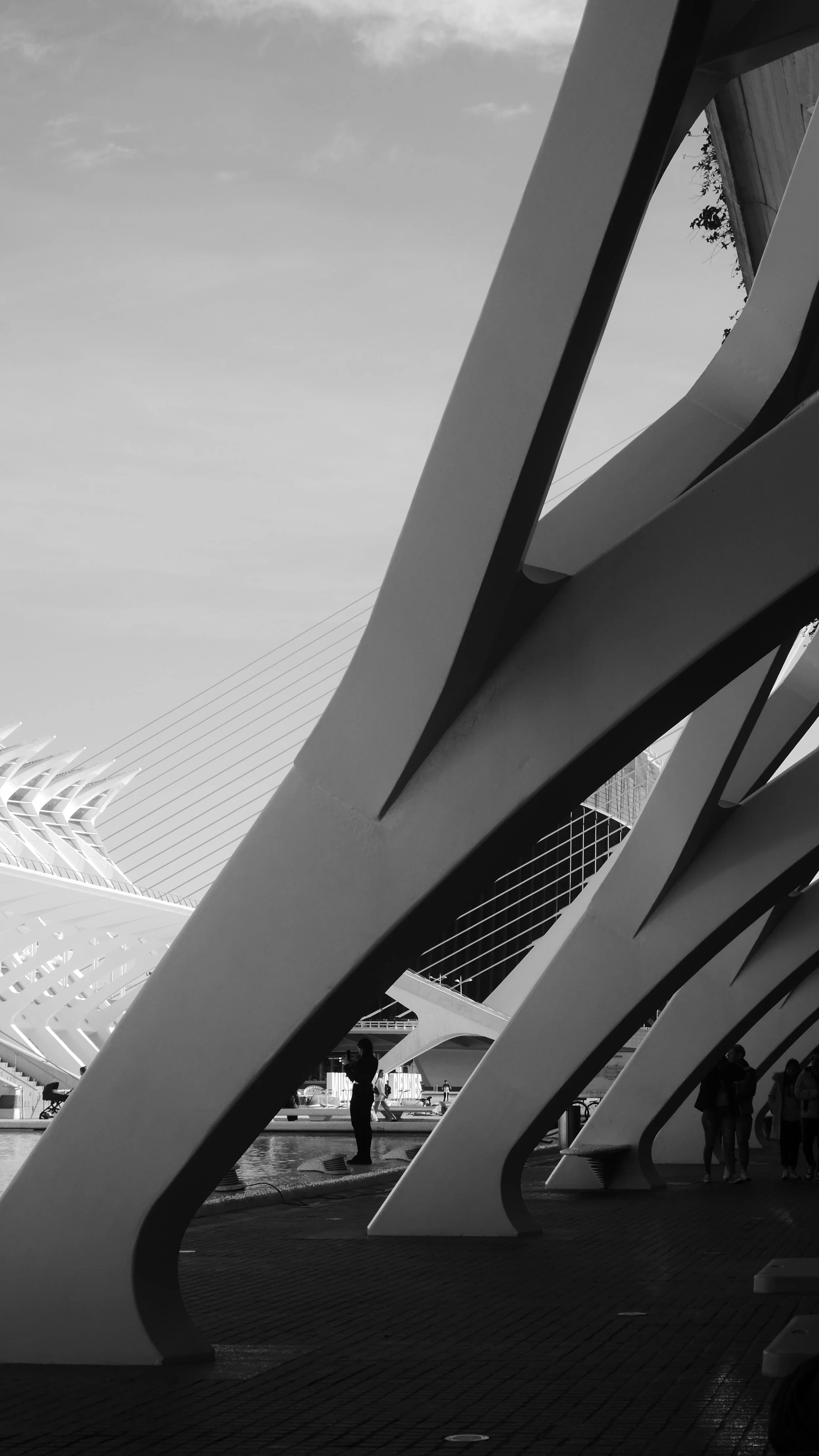 La Ciudad de las Artes y las Ciencias, Valencia, Spain