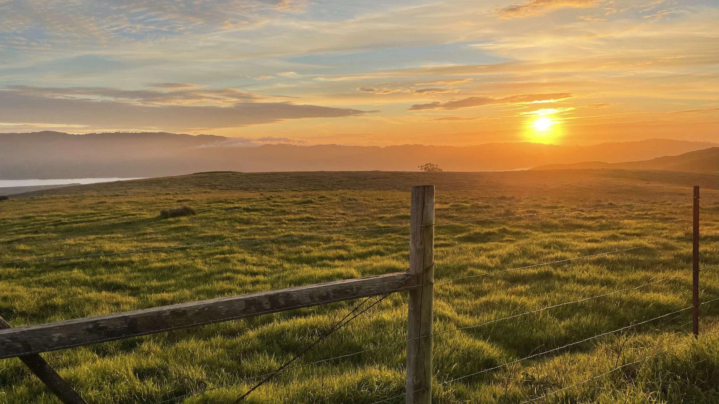 Marshall-Petaluma Road, Marin County, California