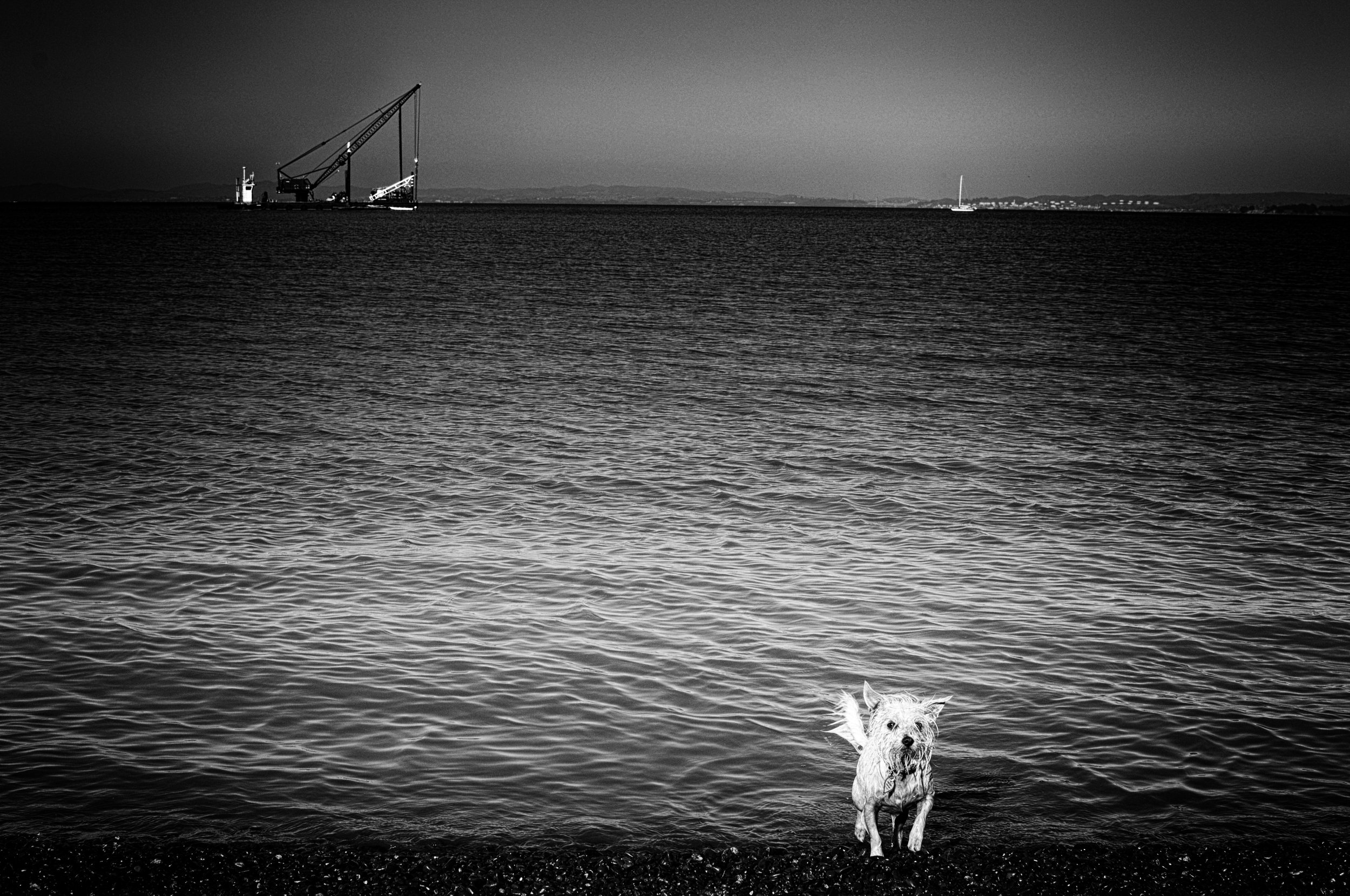 China Camp, California
