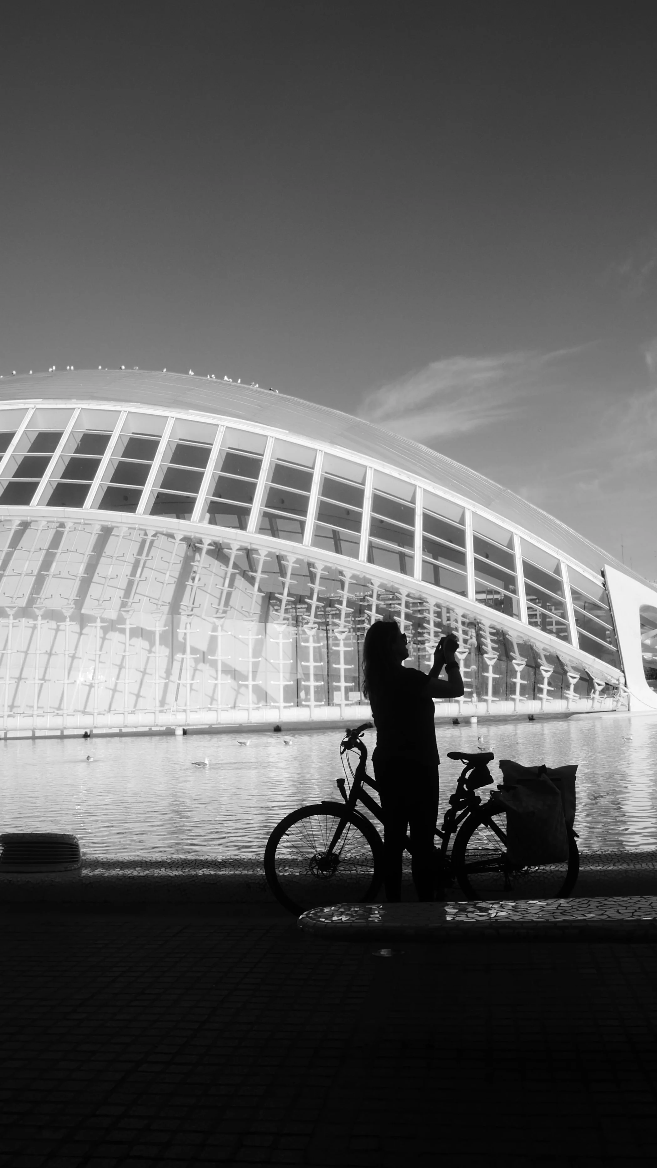 La Ciudad de las Artes y las Ciencias, Valencia, Spain
