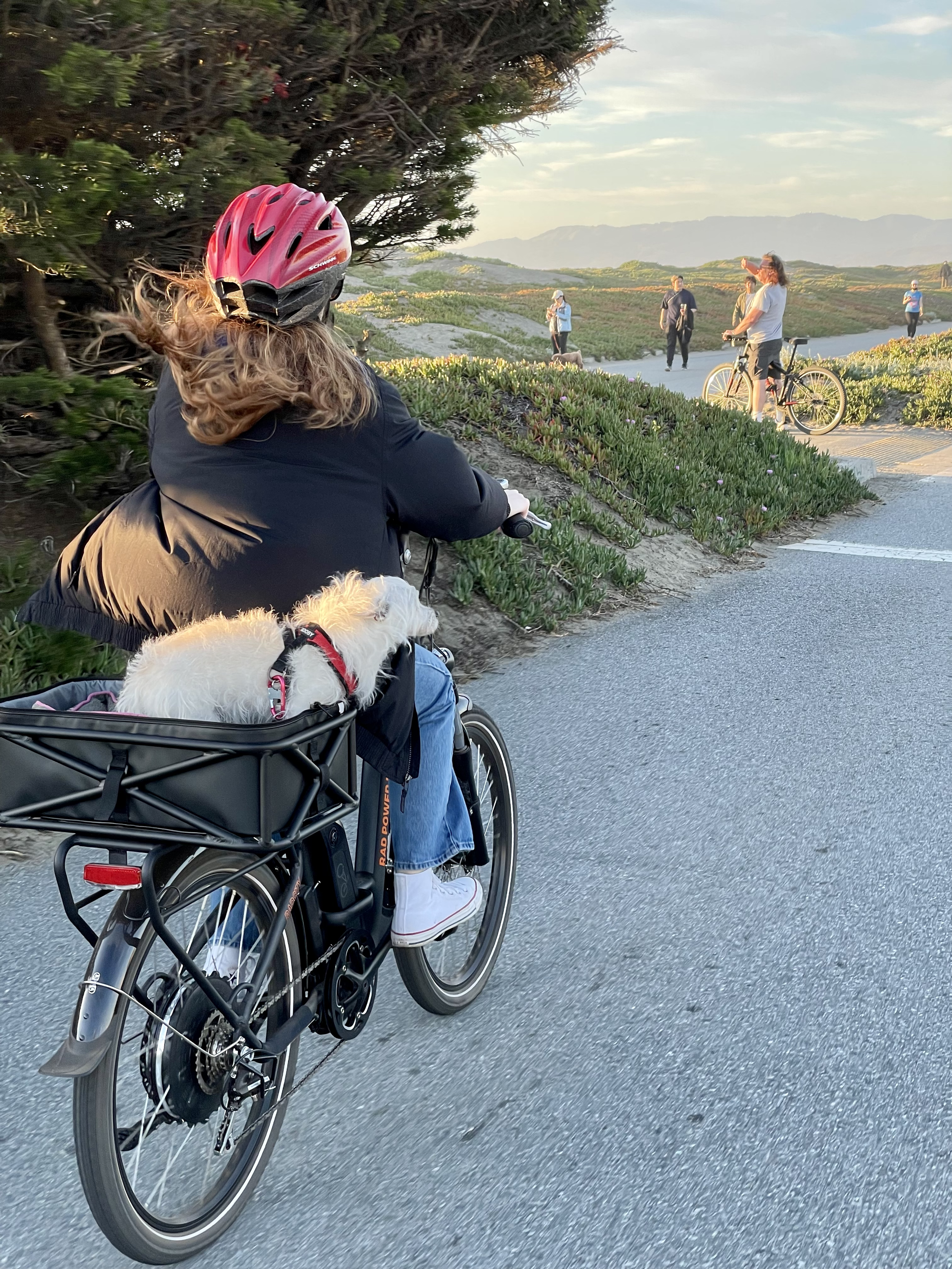 Ocean Beach, San Francisco, California