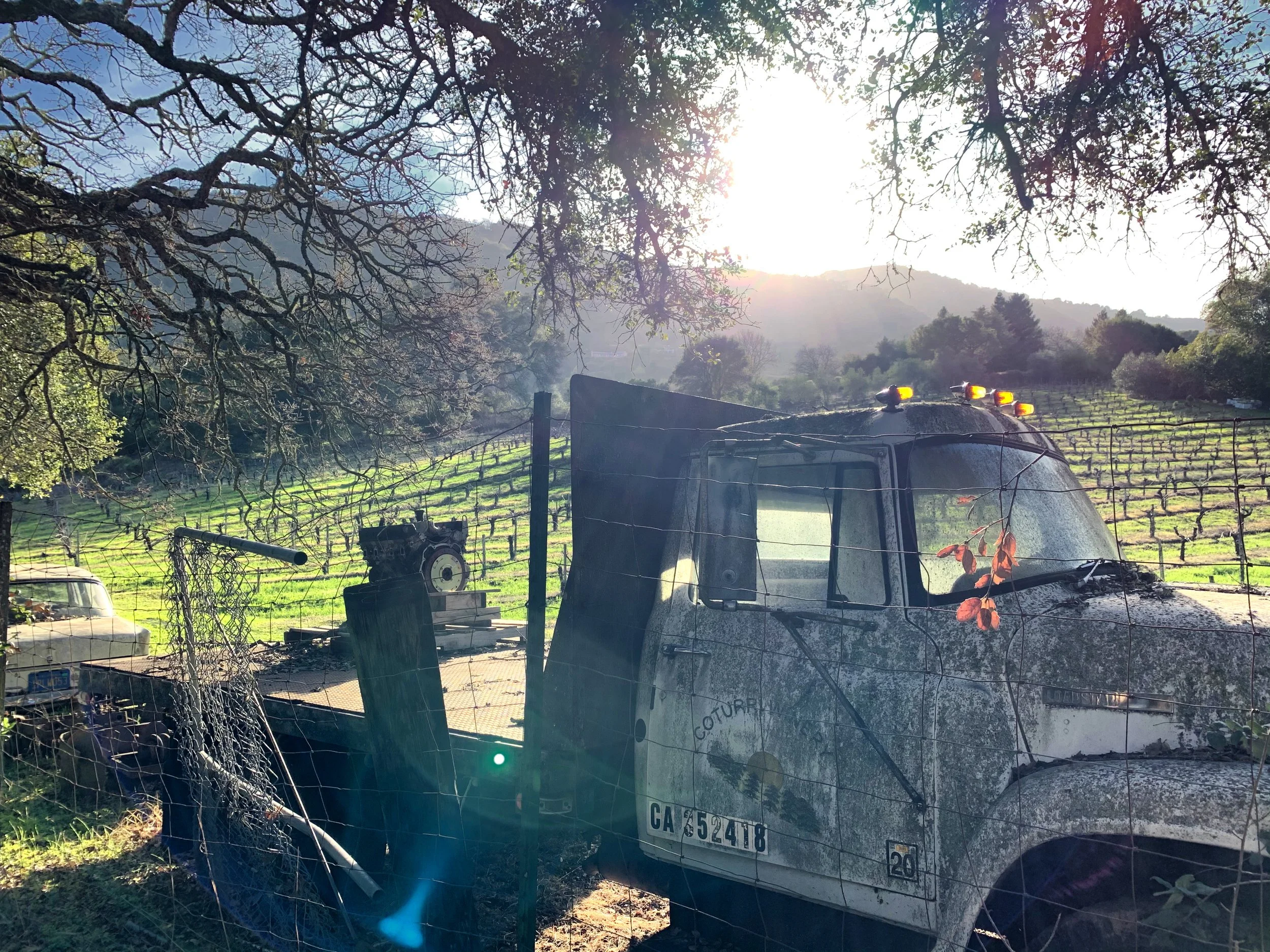 Sonoma County, California