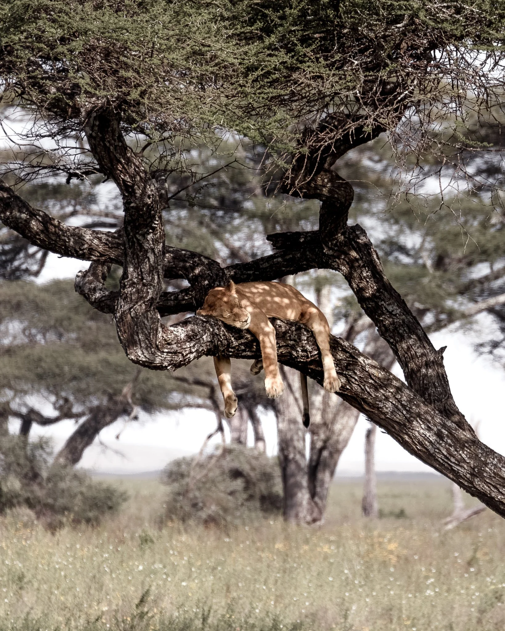 tanzania-2021-Web Use-15.jpg