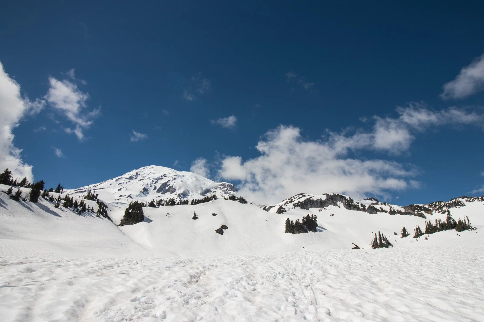 pnw_rainer_hiking.jpg