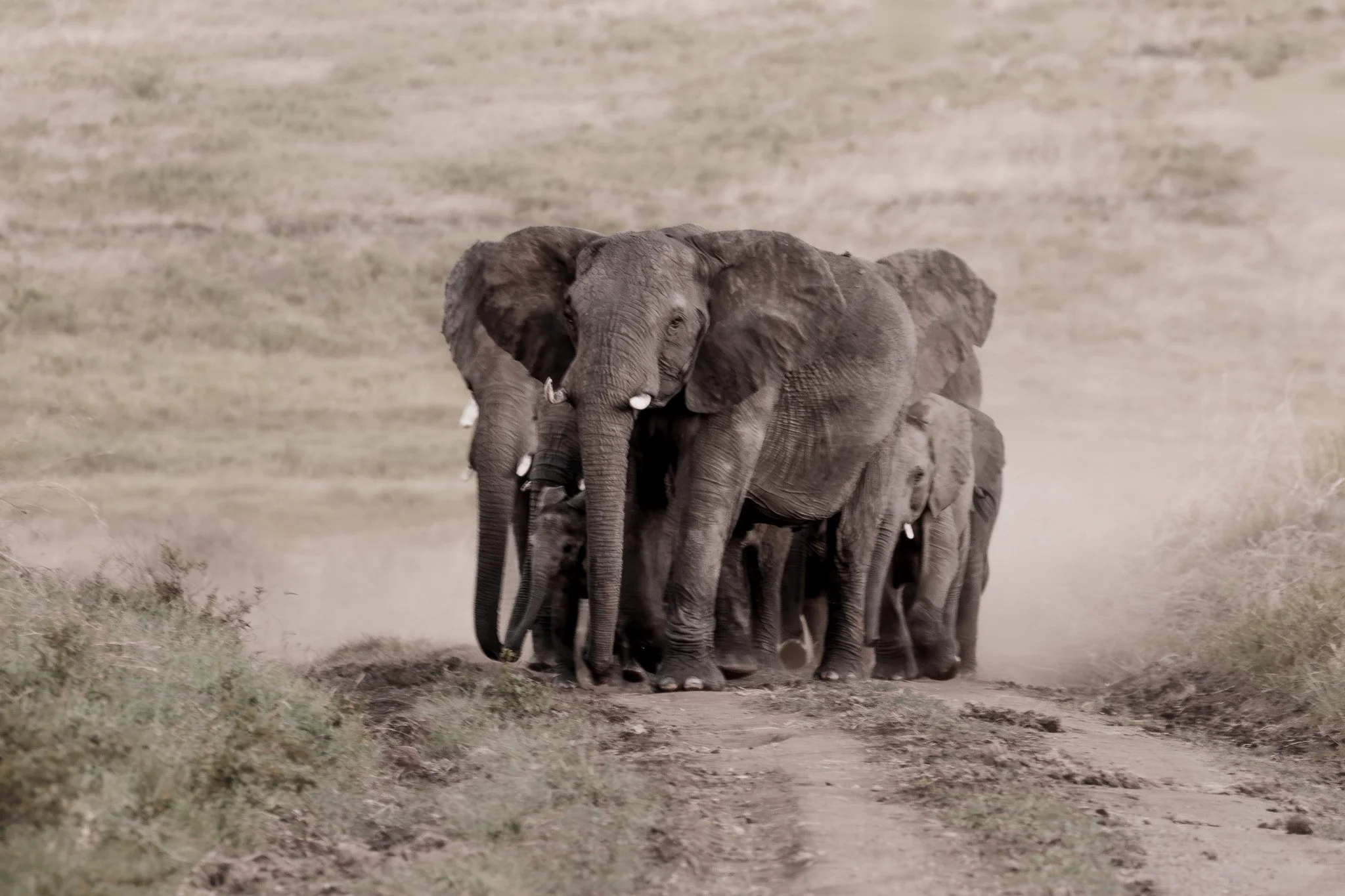 tanzania-2021-Web Use-42.jpg
