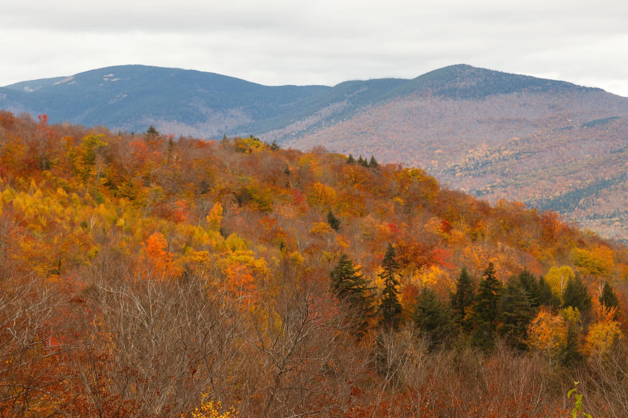 nh_fall_foliage-Web Use-2.jpg
