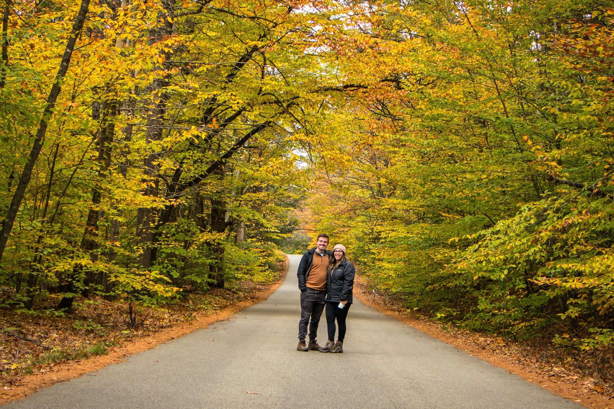 pnw_fallfoliage.jpg