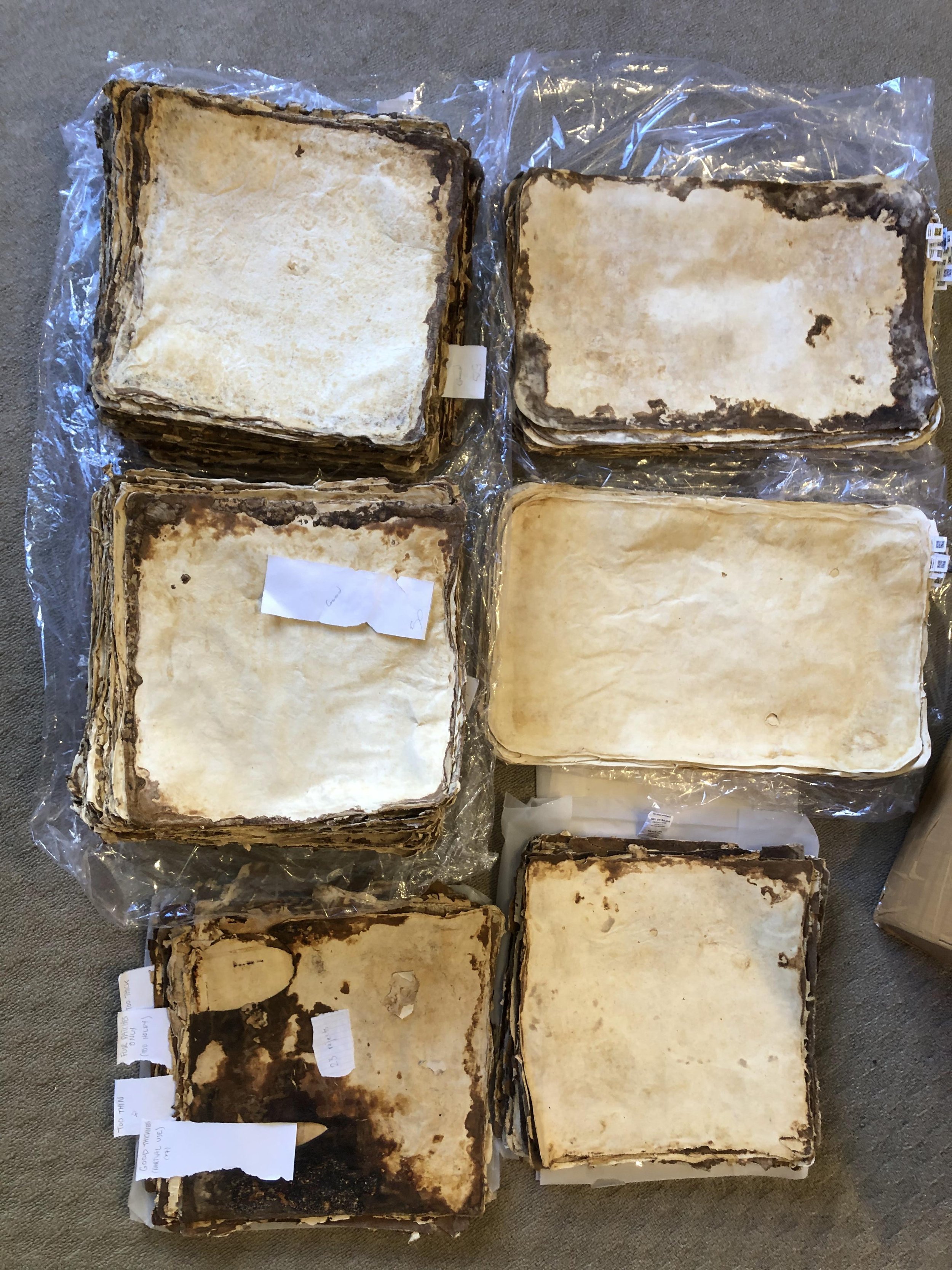 2024_03_20_16_52_IMG_4837 2.JPG