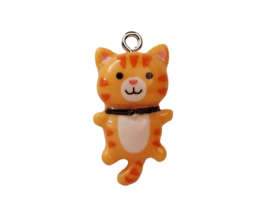 🐾 Adopt me! My name is Creamsicle!