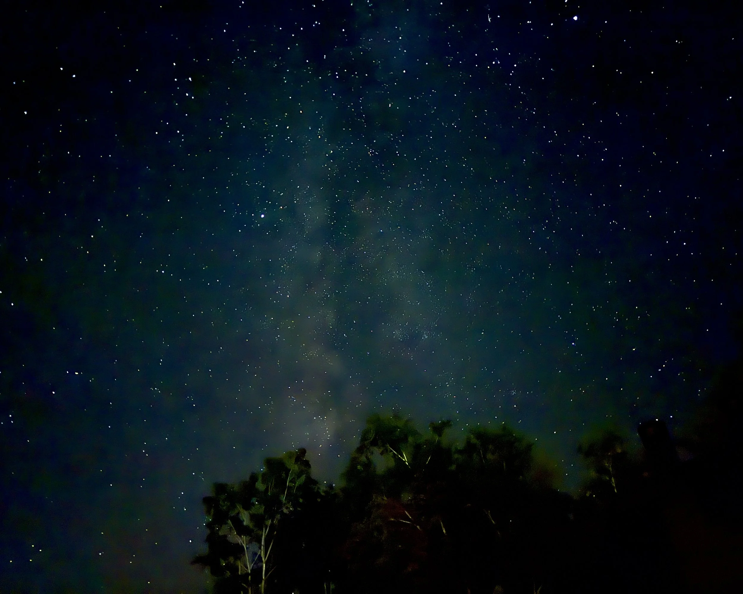 Dark Sky, Star Bright Event