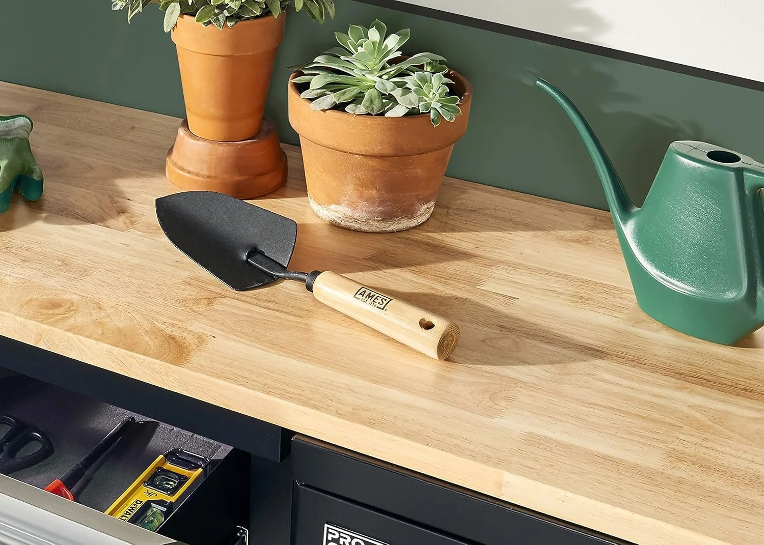 Ames Hand Trowel (Copy)