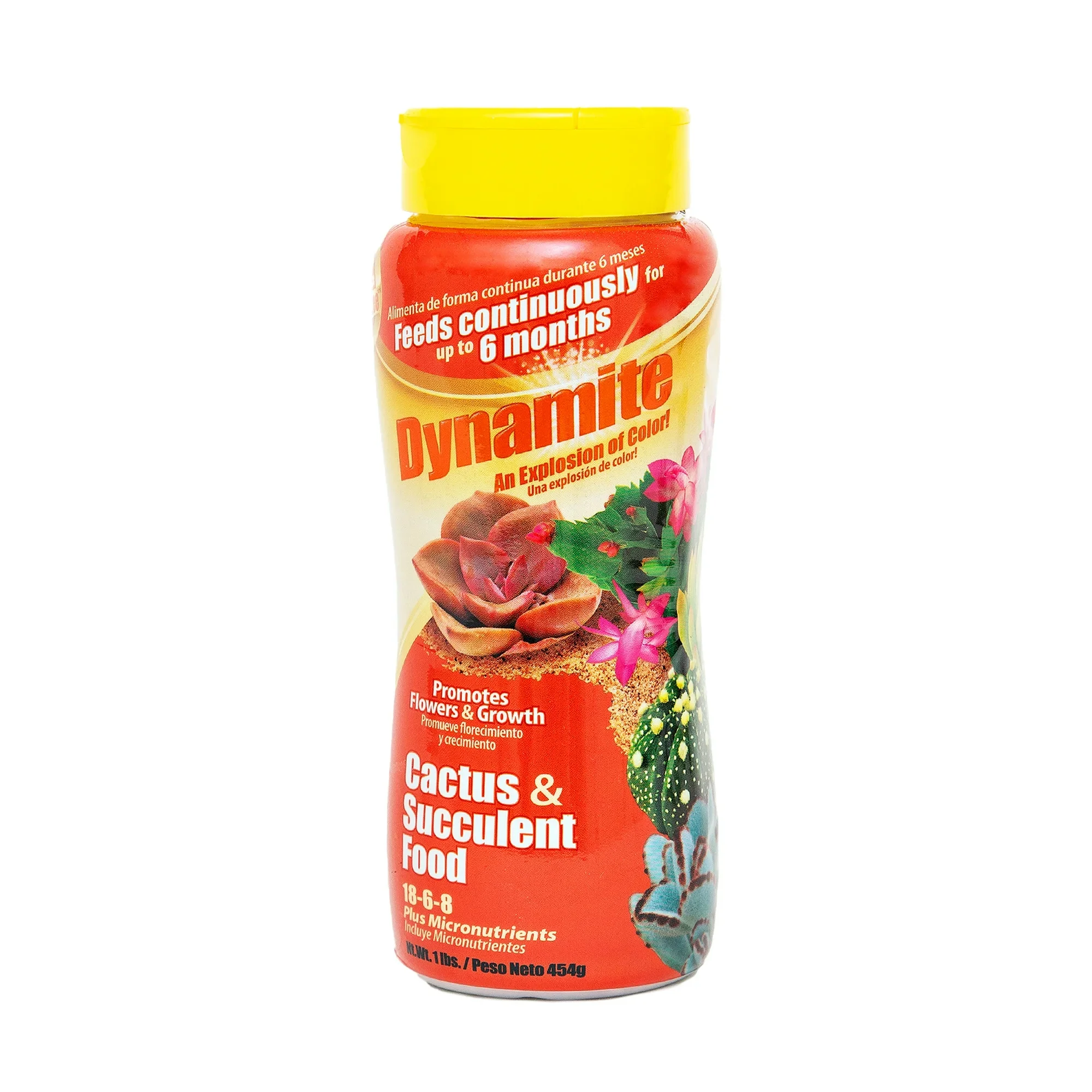 Dynamite Cactus and Succulent Food 18-6-8