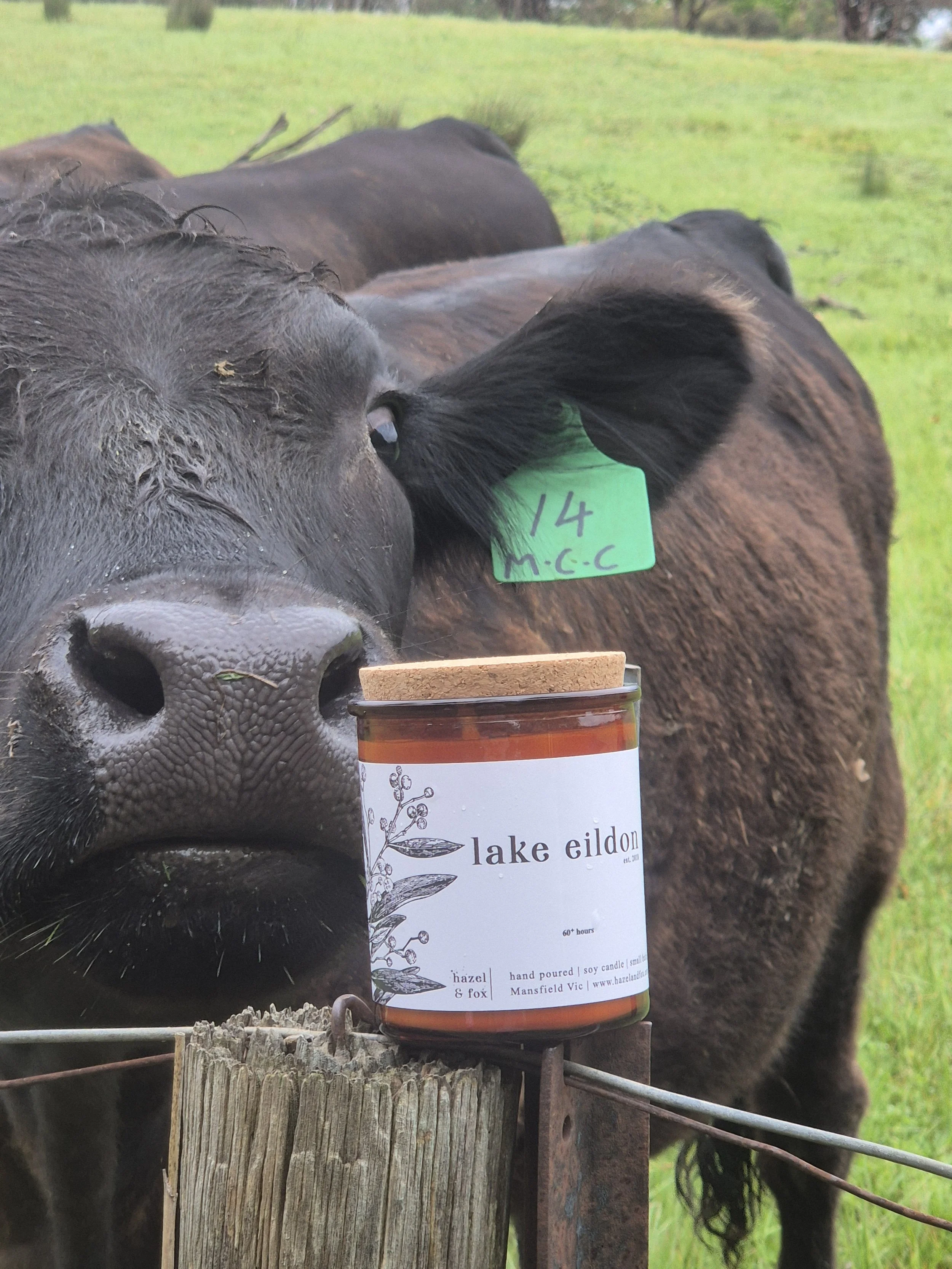 Lake Eildon Candle