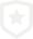 Shield check icon