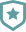 Shield star icon