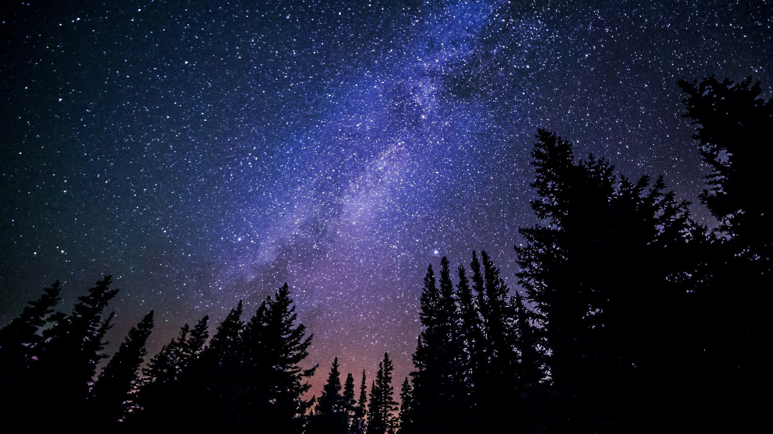 Starry night sky with numerous stars and the Milky Way galaxy visible, silhouetted pine trees in the foreground.