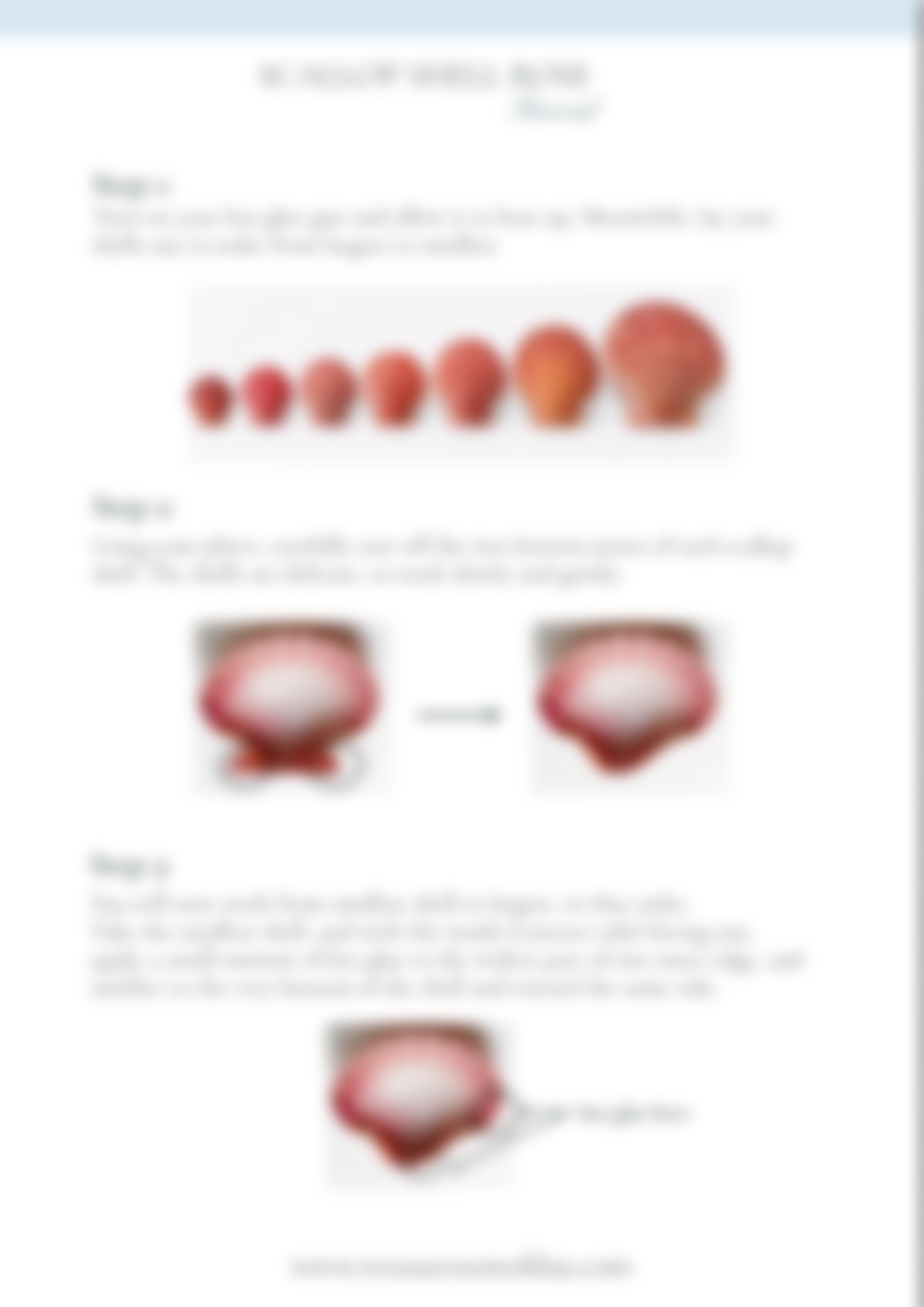 Step-by-step%2Bguide%2B-%2B3.png