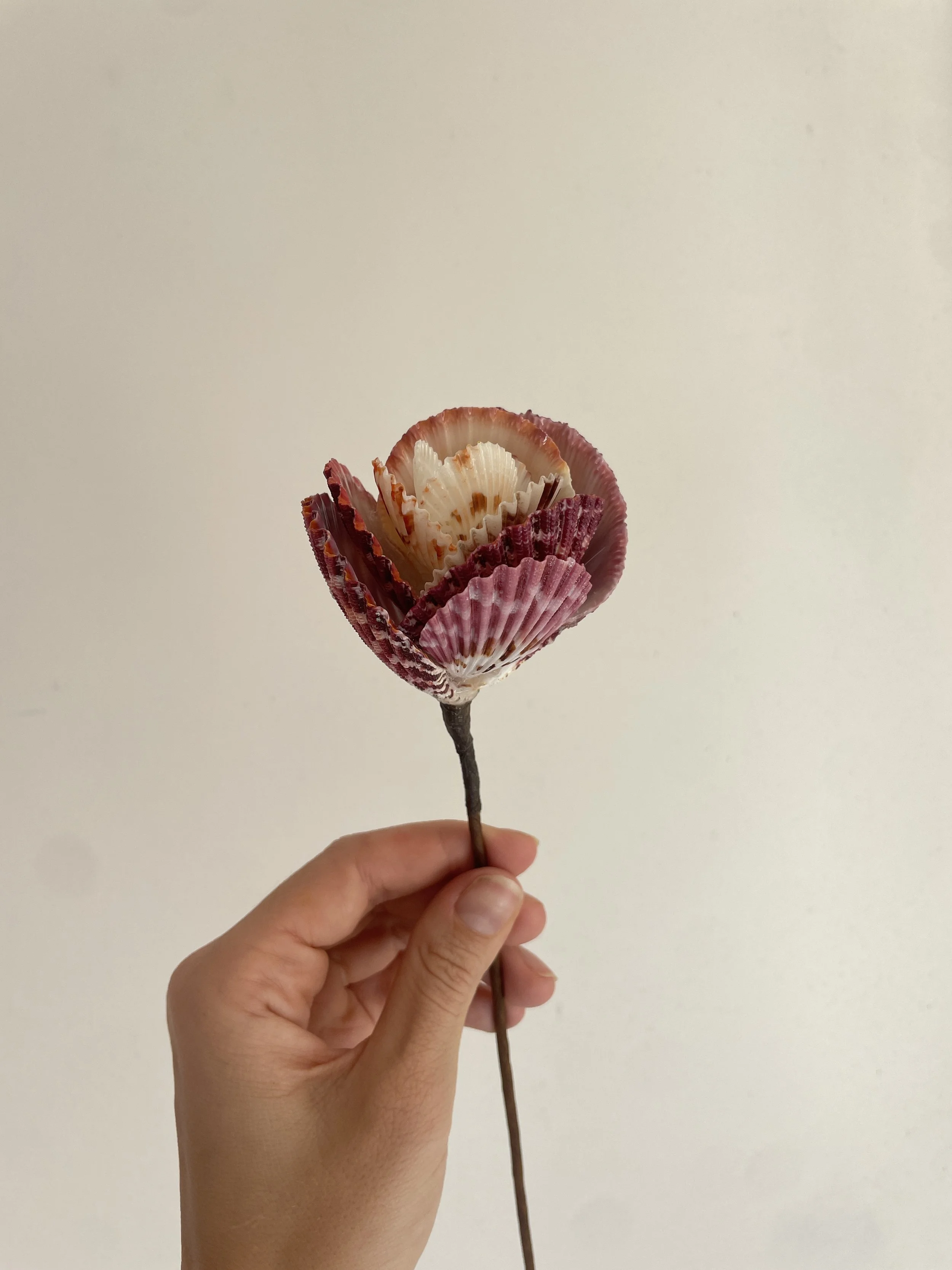 Scallop Shell Rose - DIY Tutorial