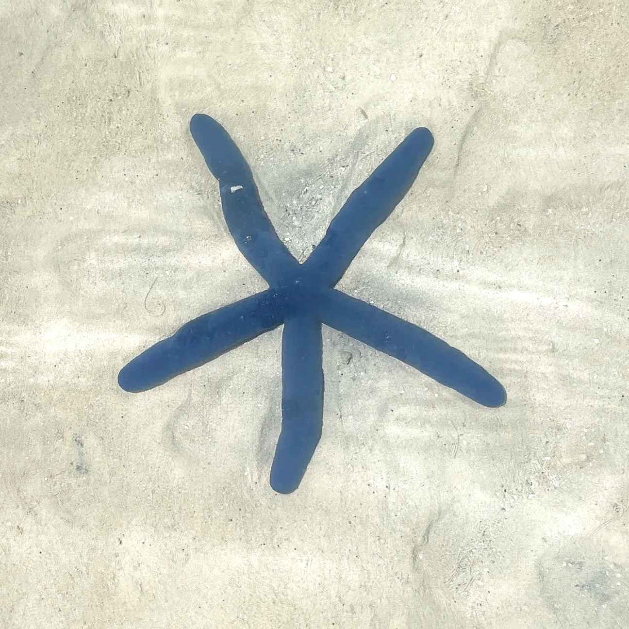 A blue snowflake drawn on the snow with five arms.