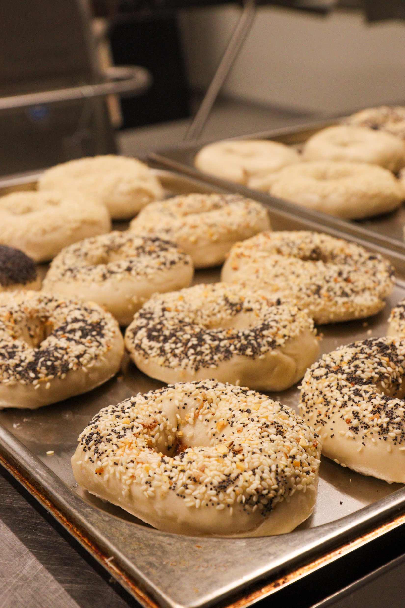 Close-up of a tray of various bagels with different toppings, including sesame seeds, poppy seeds, and a mixture of seeds, on a metal baking sheet.