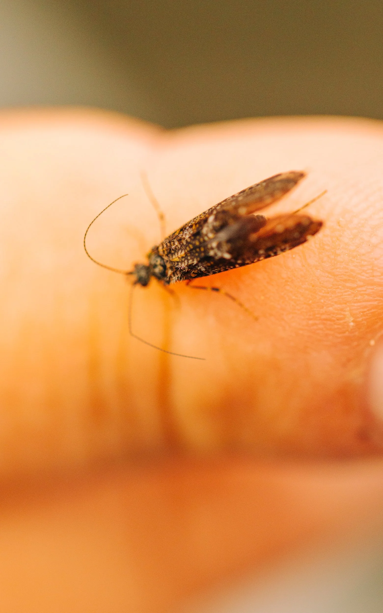 Kennebec with Logan_Mat Trogner_Searching the Shadows Sept2025-35.jpg